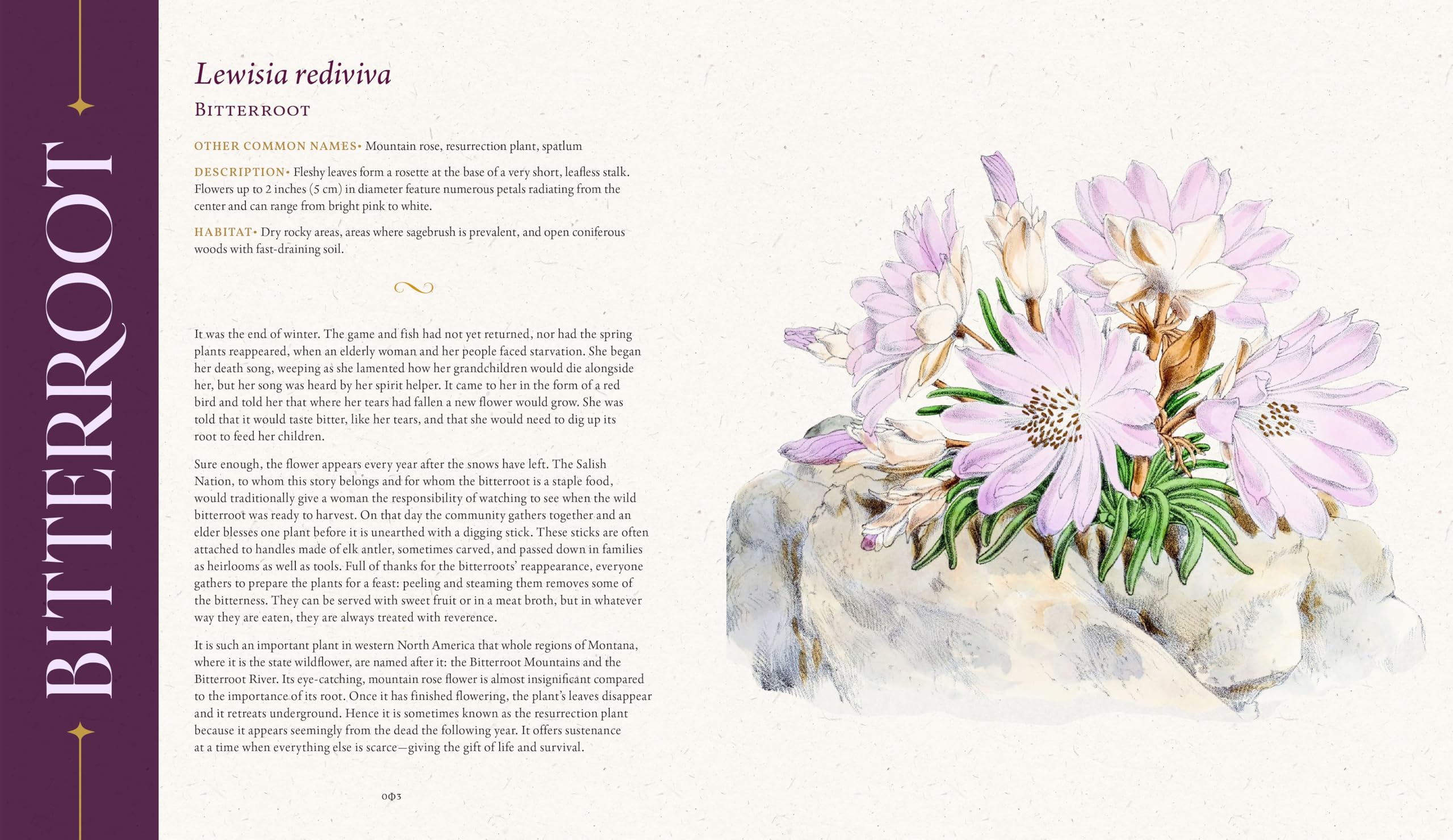 The Folklore of Wildflowers: Stories and History in Bloom