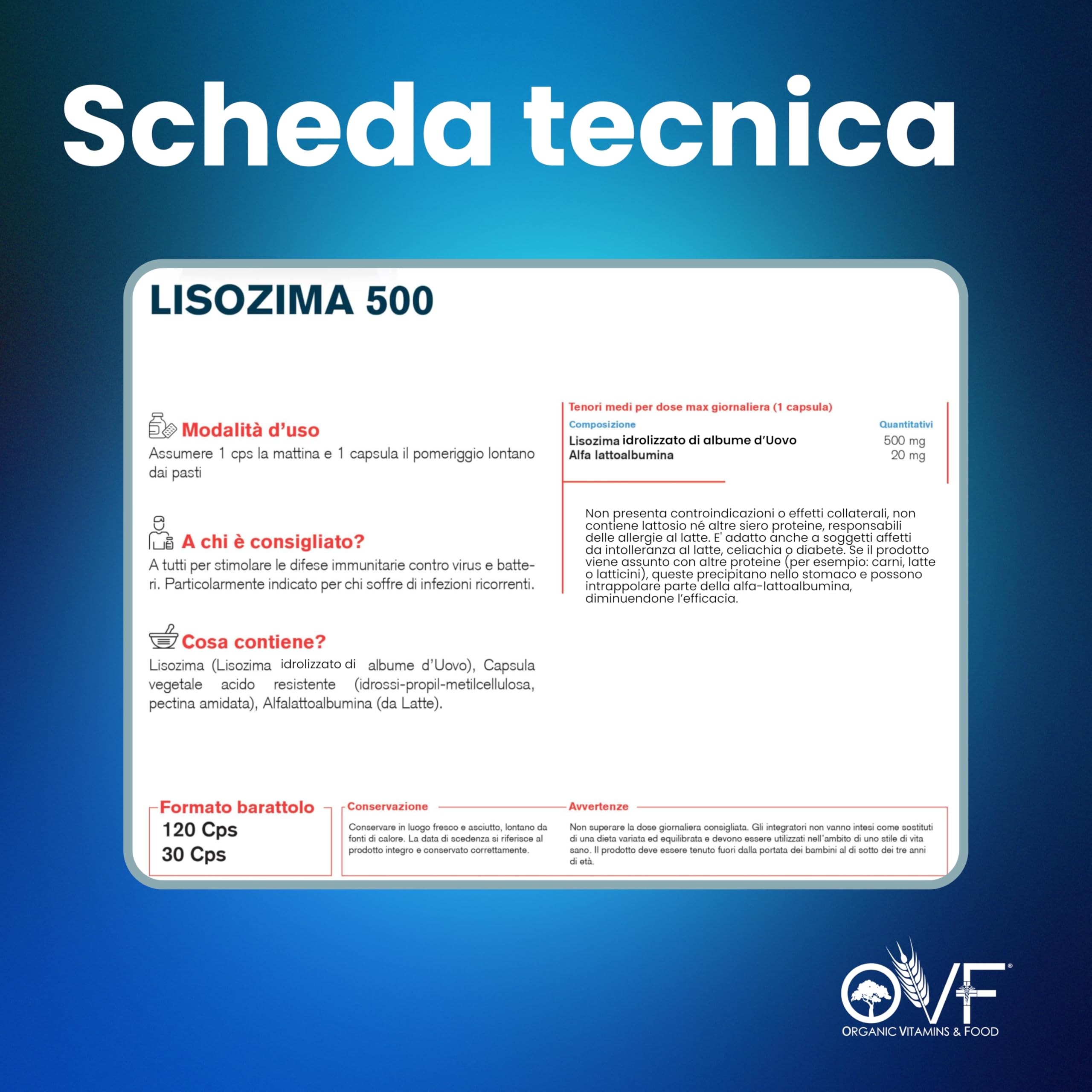 Parafarmacia OVF, 120 CAPS di lisozima 500 mg, (2 mesi di fornitura, Formato Convenienza) immunostimolante