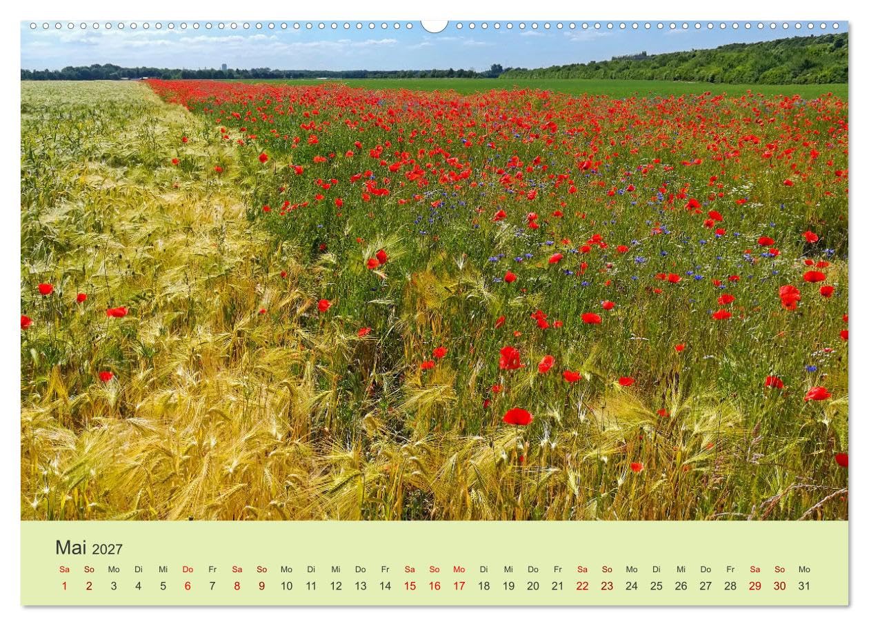 CALVENDO - Wilde Blumen - ein Spaziergang durch die Natur (hochwertiger Premium Wandkalender 2027 DIN A2 quer), Kunstdruck in Hochglanz: In den farbenfrohen Wildblumen zeigt sich die Artenvielfalt und