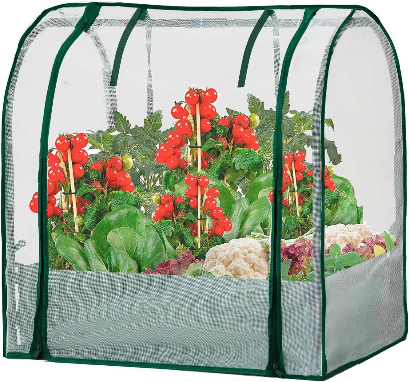 Mini Greenhouse for Indoor Outdoor, Small Plastic Plant Green House 4-Tier Rack Stand Portable Greenhouses with Durable PE Cover for Seedling, 2.5x1.6x5.2 FT,(PLGH7050WS)