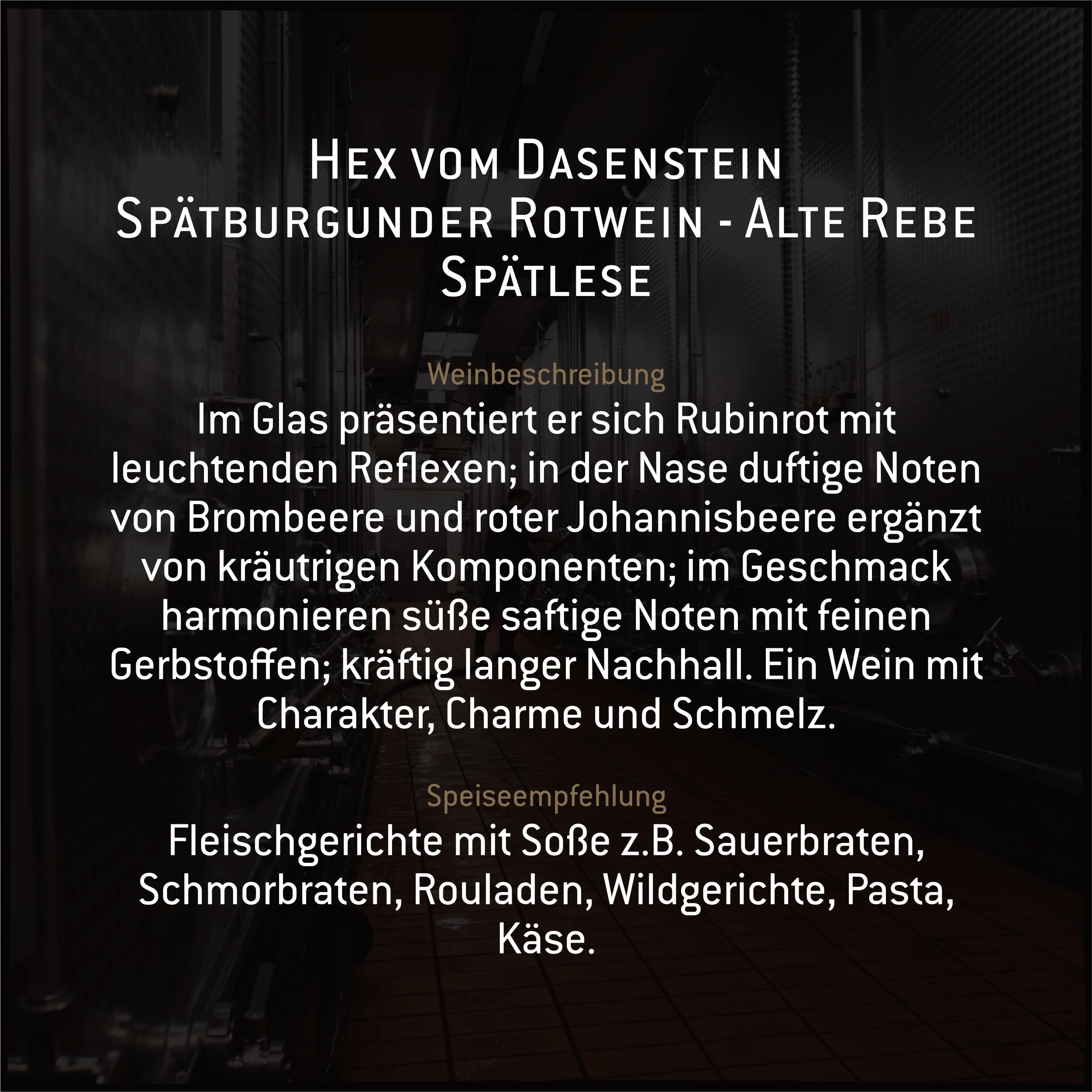 Hex vom Dasenstein Spätburgunder Rotwein Spätlese ALTE REBEN - vollendet in Ausbau und Lagerung, samtig und nachhaltig im Geschmack - Badischer Wein, Anbaugebiet Ortenau (3 x 0,75l)