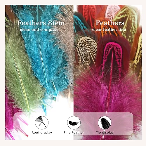 Miniatura 5 de FeelfunFeather 240 plumas de plumaje de faisán de colores mixtos de 2 a 3 pulgadas, plumas de plumaje manchadas naturales esponjosas para costura,