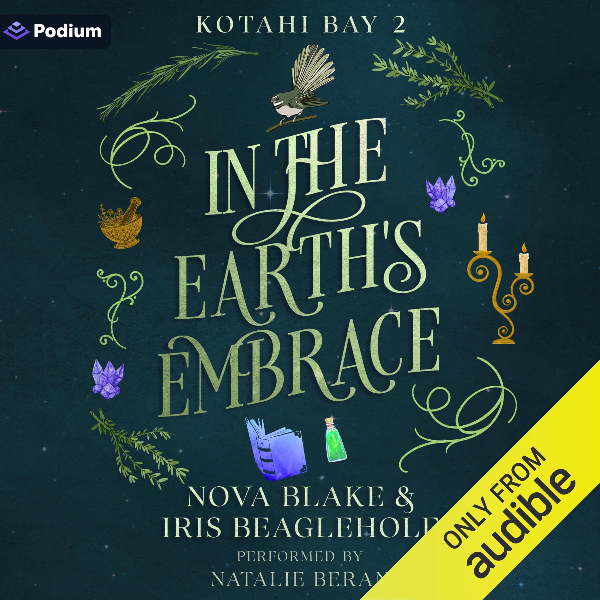 Cover art for In the Earth's Embrace
