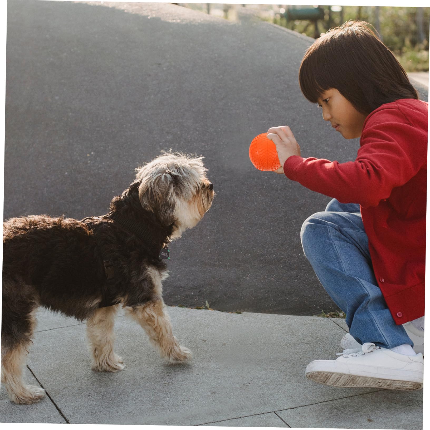 DECHOUS 4stücke Gummiball für Hund Welpenball zum Werfen und Apportieren Hundebälle als Kauspielzeug und Trainingsspielzeug Kleine Bälle für Hunde zum Spielen und Kaufen