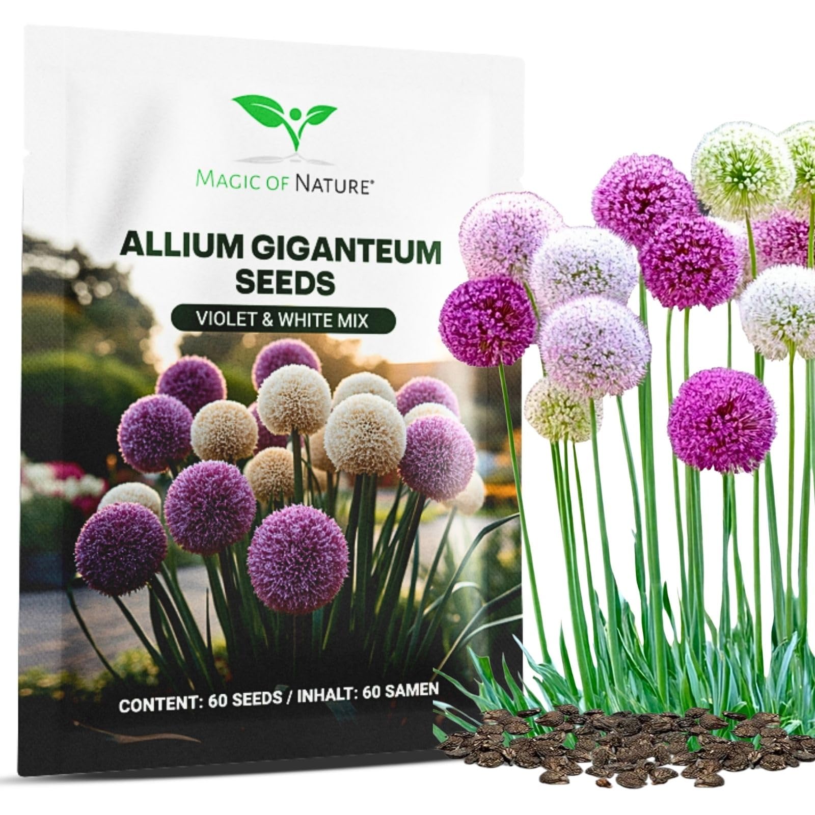 Magic of Nature: Czosnek Olbrzymi Nasiona (60 szt.) Allium giganteum Mix Fioletowy i Biały – Mrozoodporne Nasiona Ogrodowe