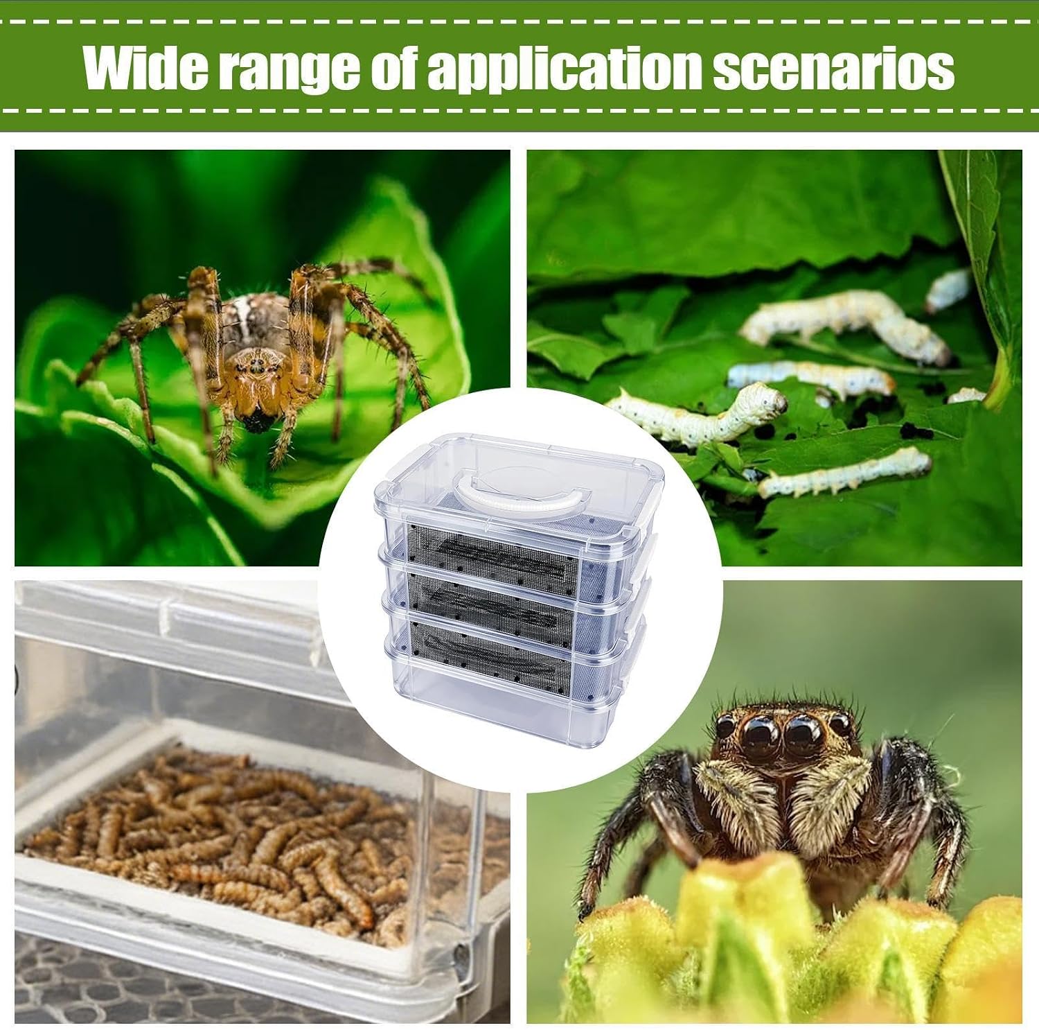 Reptile Breeding Box - 4-Layer Mesh Feeding Bin Kit, Mealworm Breeding Box, Spider Terrarium Tarantula | Mealworm Farm Container with Handle for Reptile Spider Bird Chicken Lizard Bearded Dragon Frog