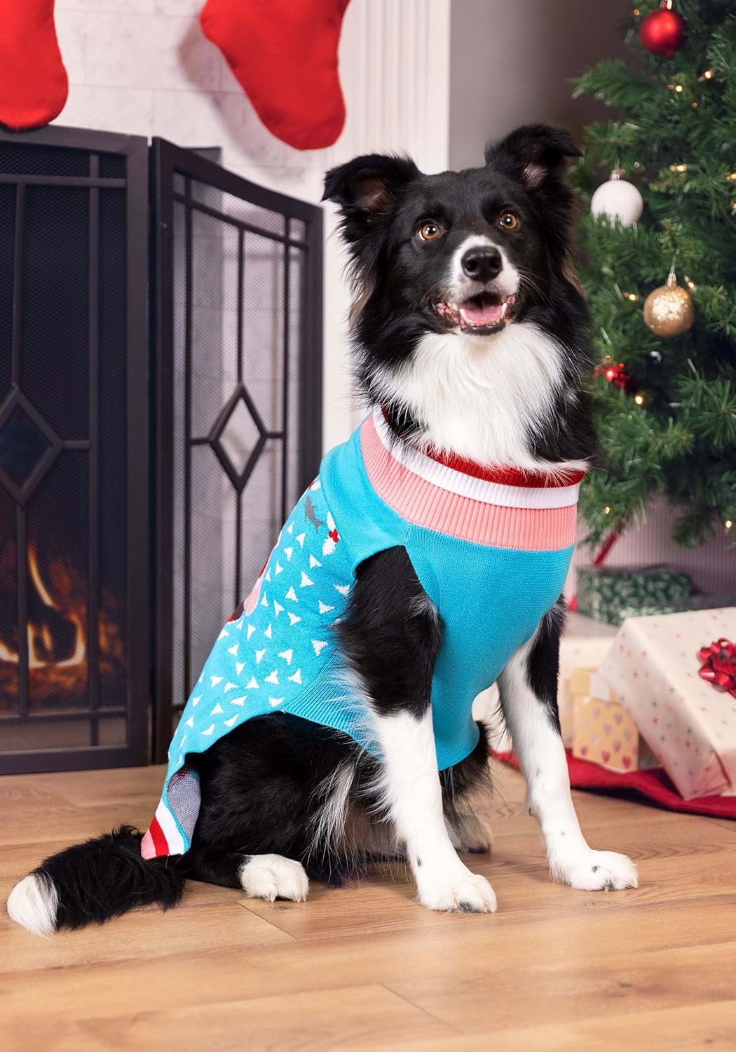 Santa vs Shark Christmas Sweater for Dogs and Pets with Fun Holiday Design and Cozy Fit S