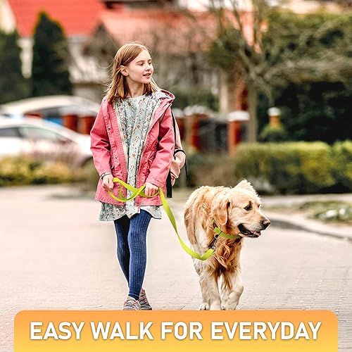 Miniatura 17 de Correa impermeable para perro de 6 pies, fabricada en Estados Unidos, correas resistentes para perros grandes, medianos y pequeños, entrenamiento