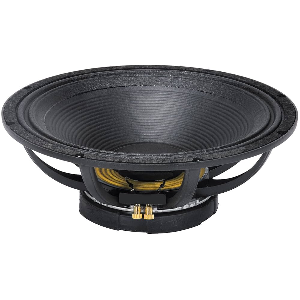 Peavey Low Rider 18 Inch Black Widow Speaker : Amazon.ae