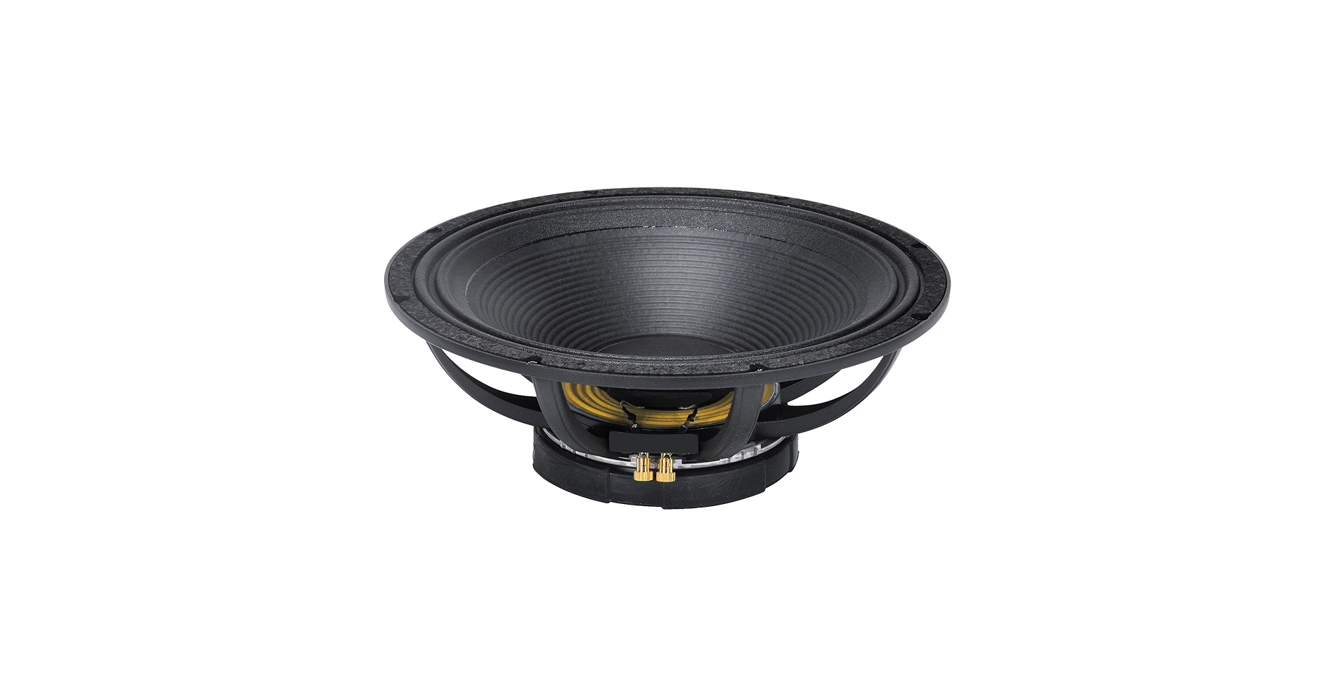 Amazon.com: Peavey 18