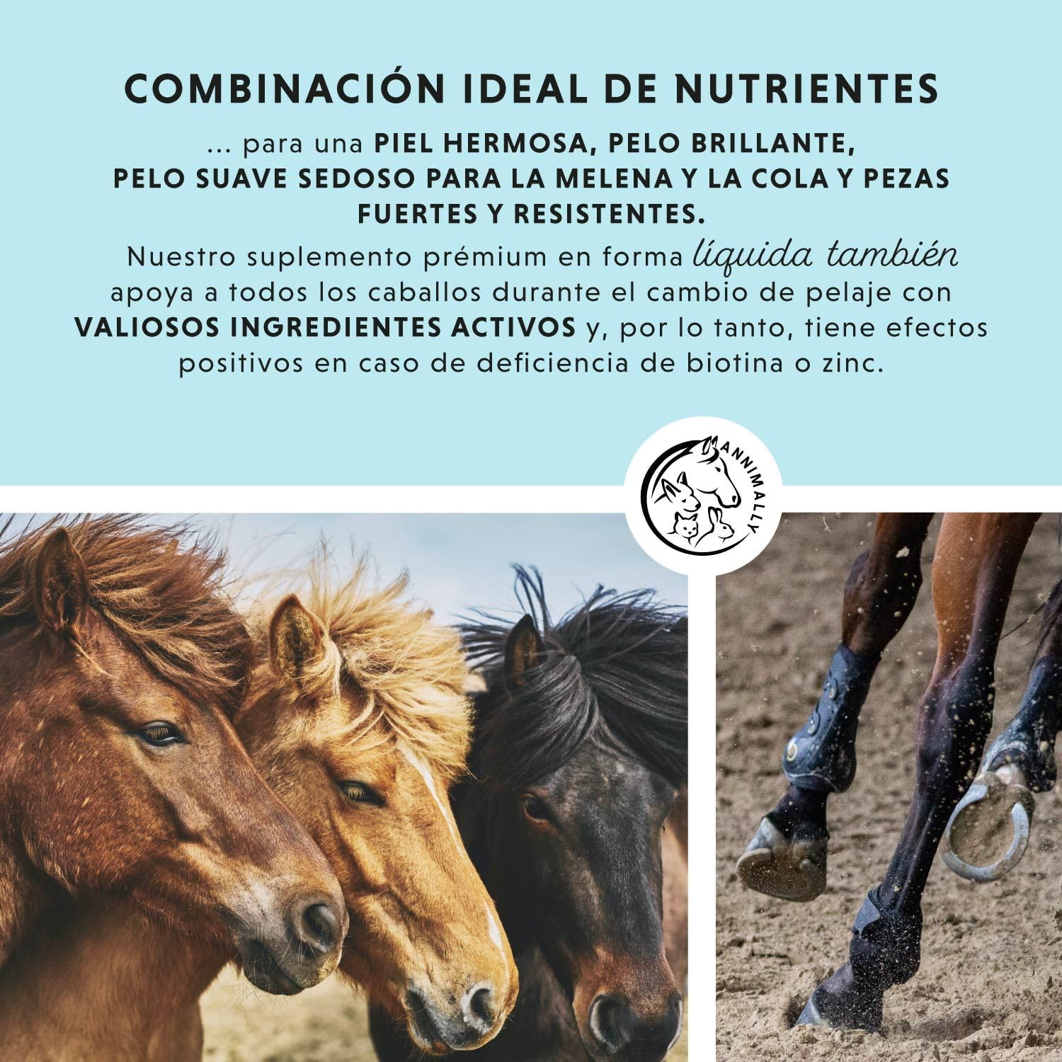 Caballo Biotina Zinc Líquido 1000 ml - Cuidado para la Piel, el Pelaje y los Cascos de los Caballos - Biotina, Zinc y MSM líquidos para un Pelaje Saludable - Cuidado del Pelaje y de los Cascos