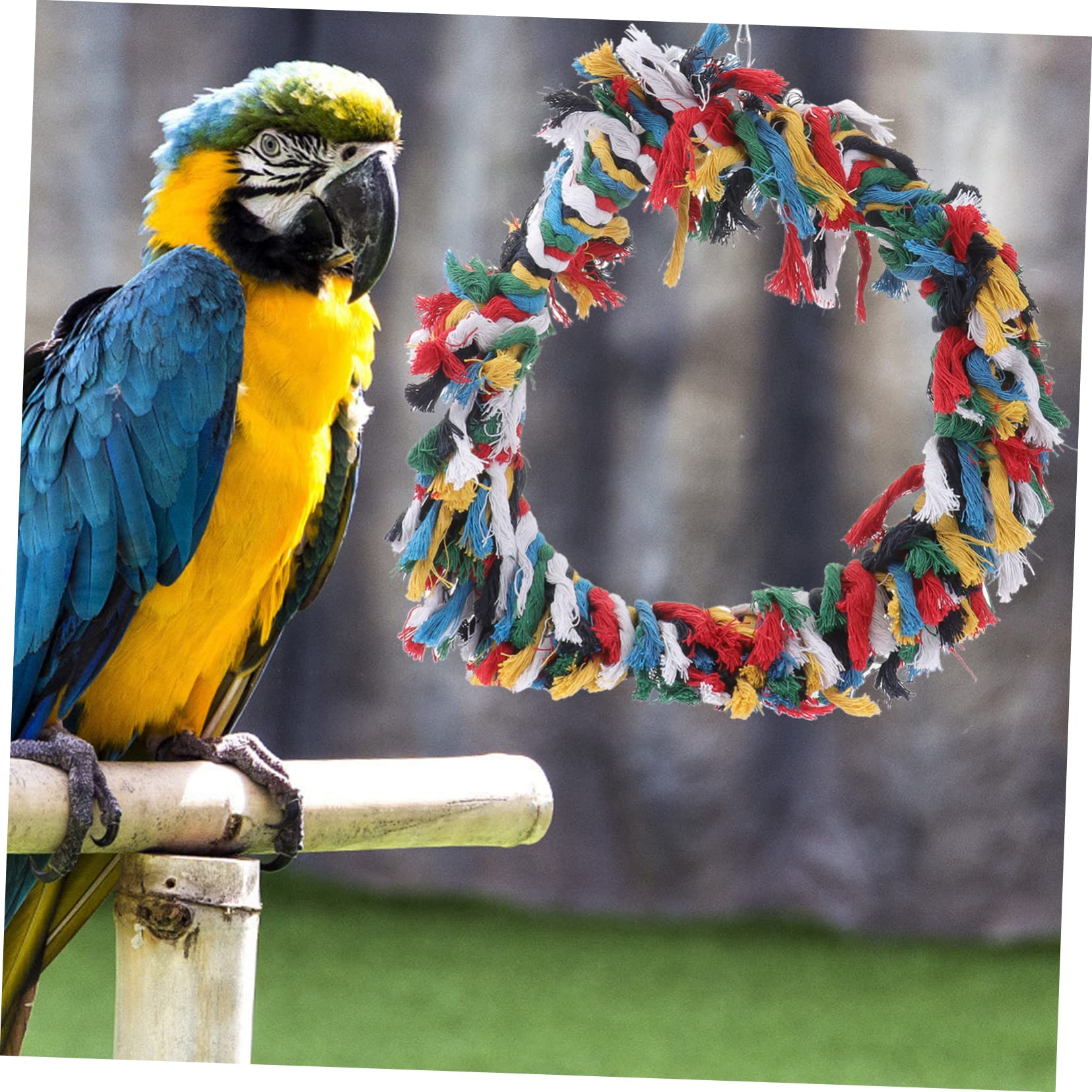 2pezzi Per Appesa Per Pappagalli e Piccole Specie Stress e Divertimento Accessorio Per Cocorite e