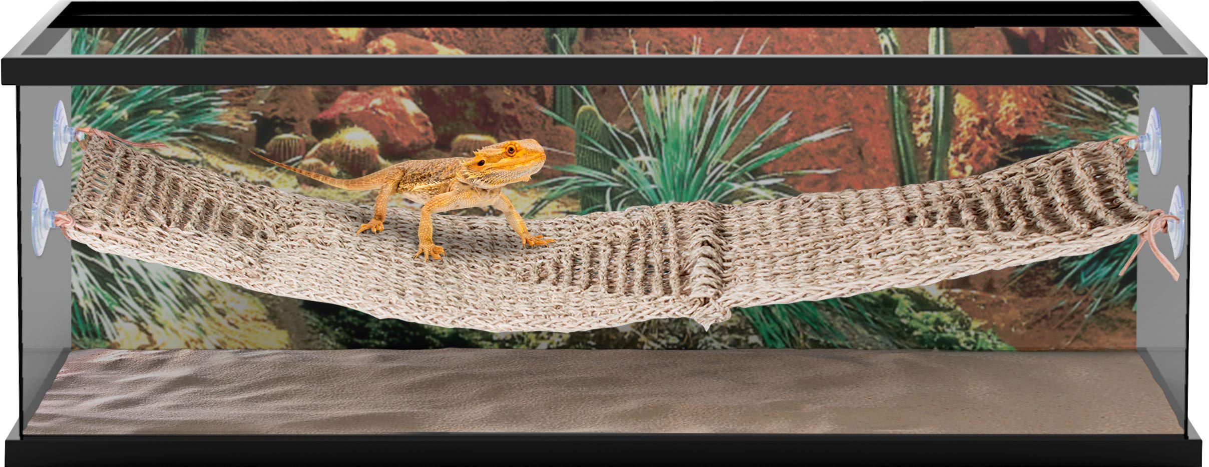 Penn Plax Reptology - Puente para Tumbona de lagartos para Dragones barbudos, Iguanas y Otros Reptiles, 700 g