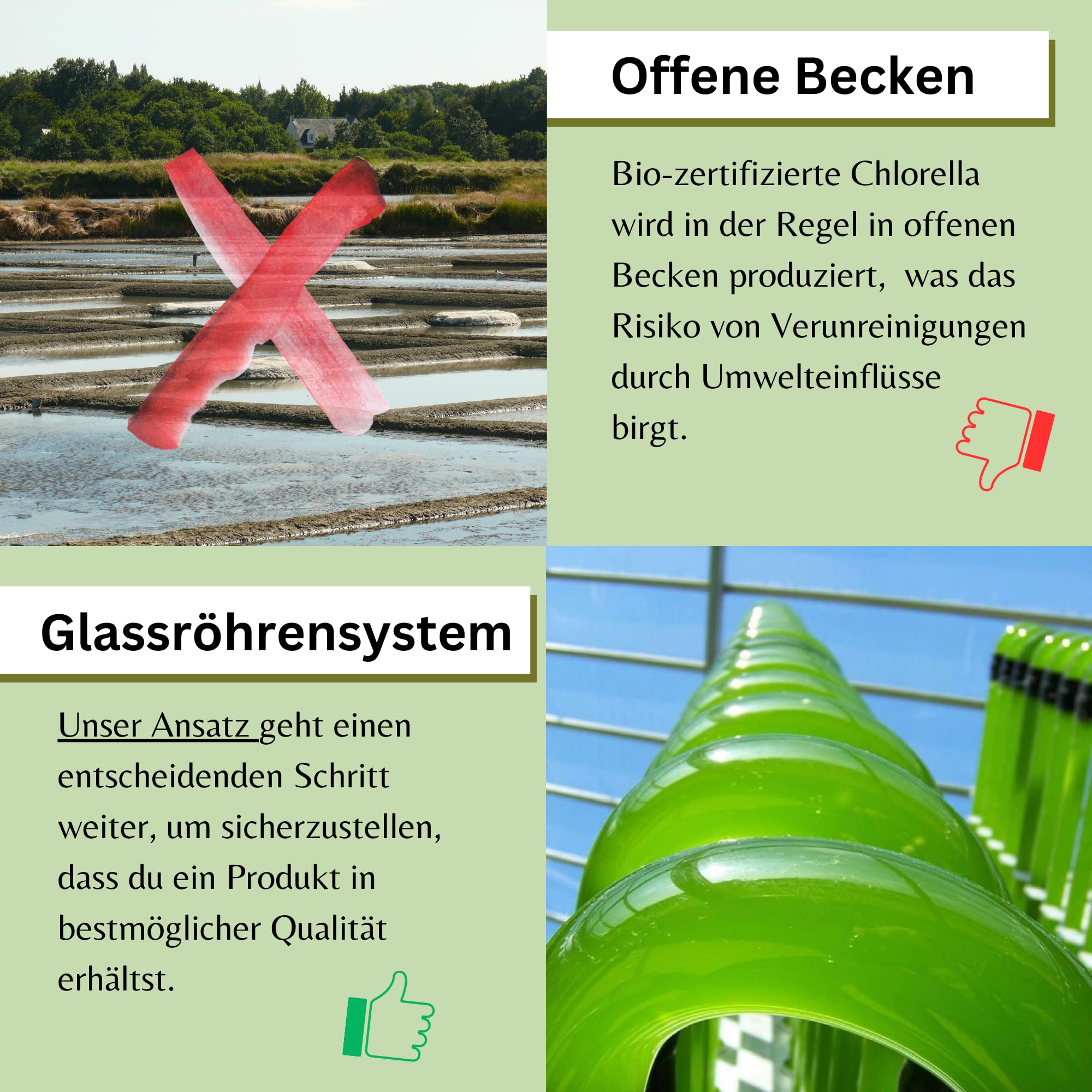 Chlorella Pulver 120g aus Deutschland - Regional, Rein & Kontrolliert (Roh Vegan) Algen reich an Vitamin B12 Eisen Spermidin Chlorophyll - Grüne Mikroalge Chlorella Vulgaris