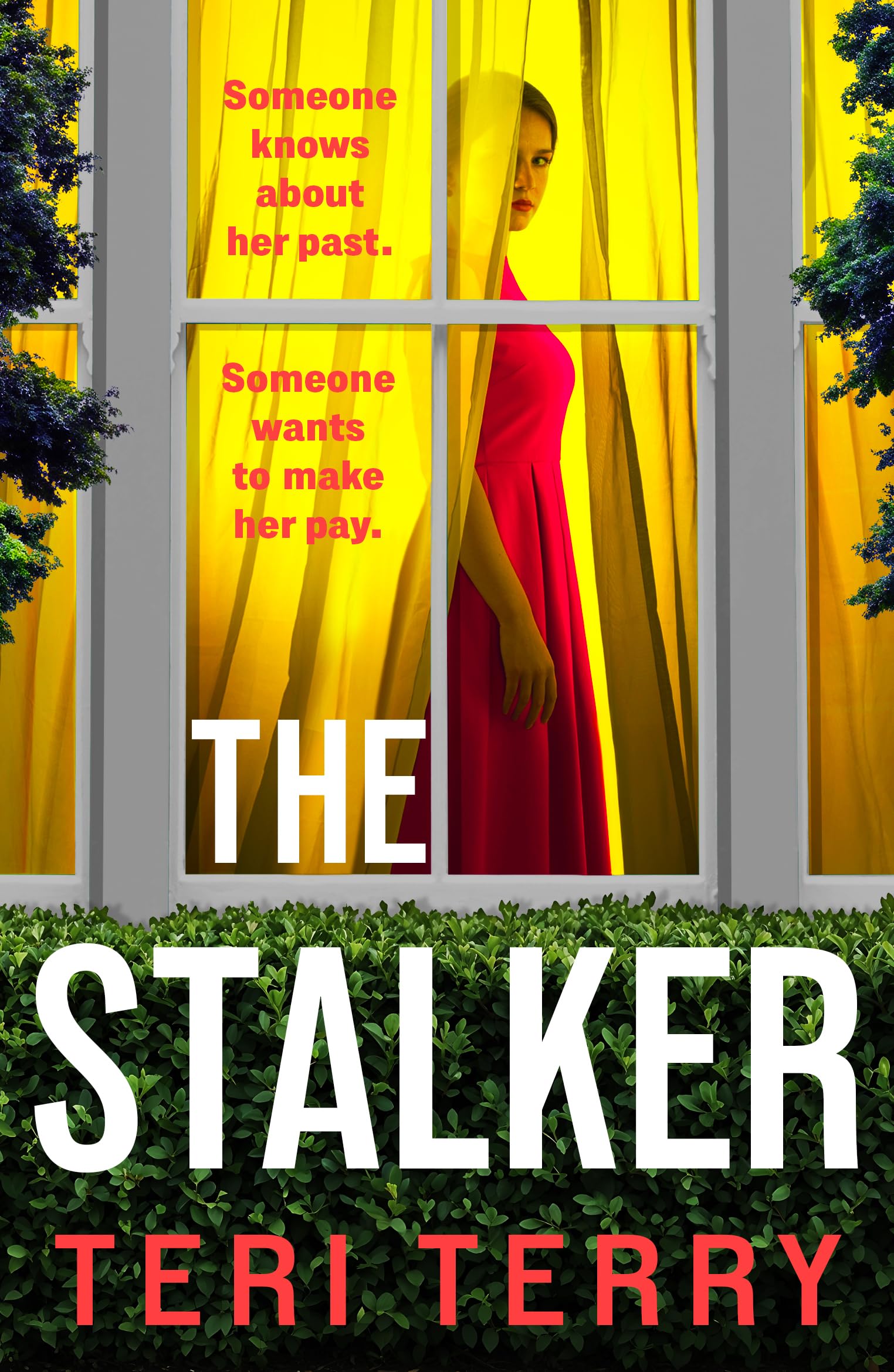 The Stalker: A twisty psychological thriller from Teri Terry (English Edition)