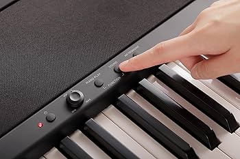 Amazon.com: Korg B2+ Digital Piano - Black : Musical Instruments