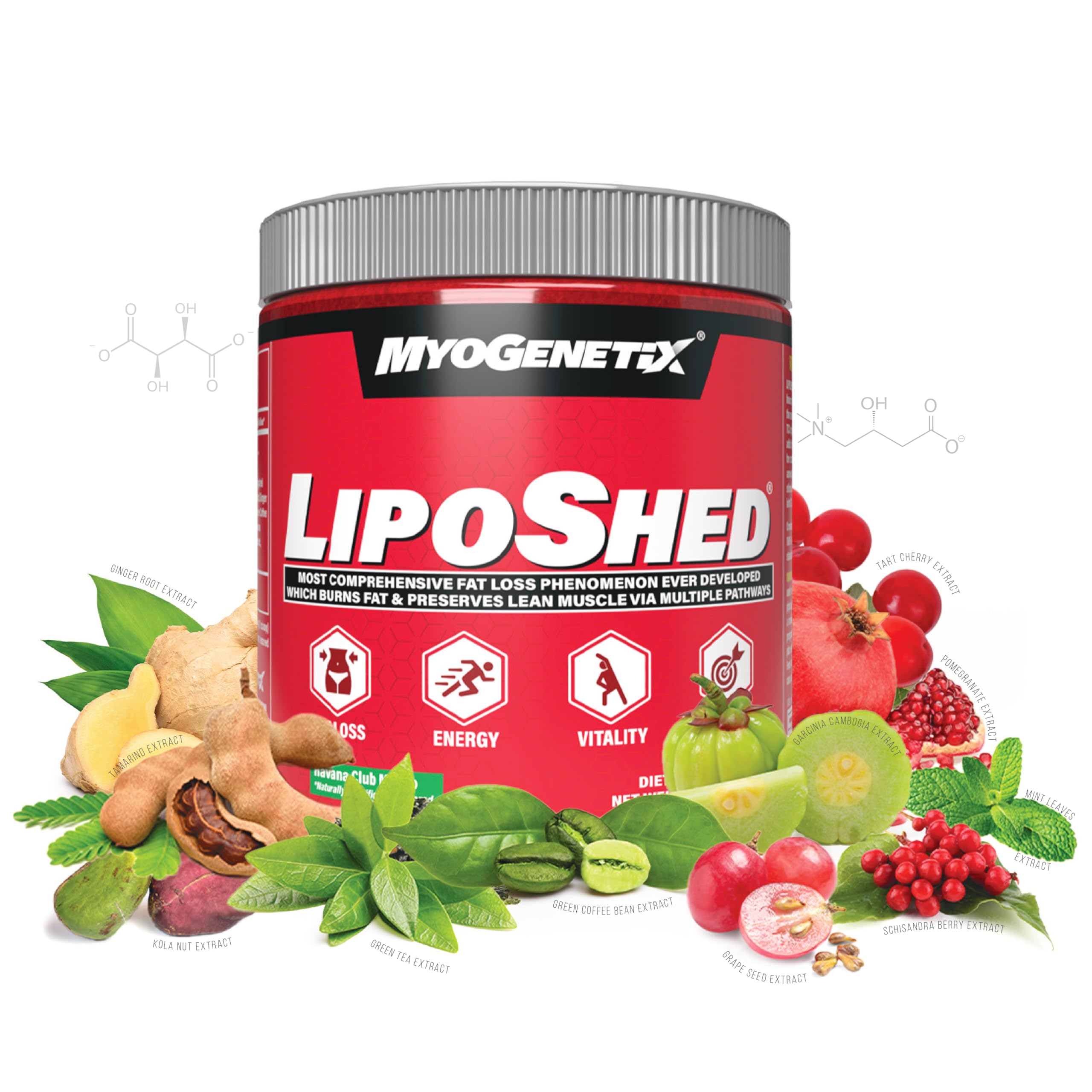 LIPOSHED® | FAT LOSS PHENOMENON YOU’VE BEEN LOOKING FOR ! | With Yohimbe Bark Extract, Grape Seed Extract and Many More..| Havana Club Mojito Flavor — Amazon image 4