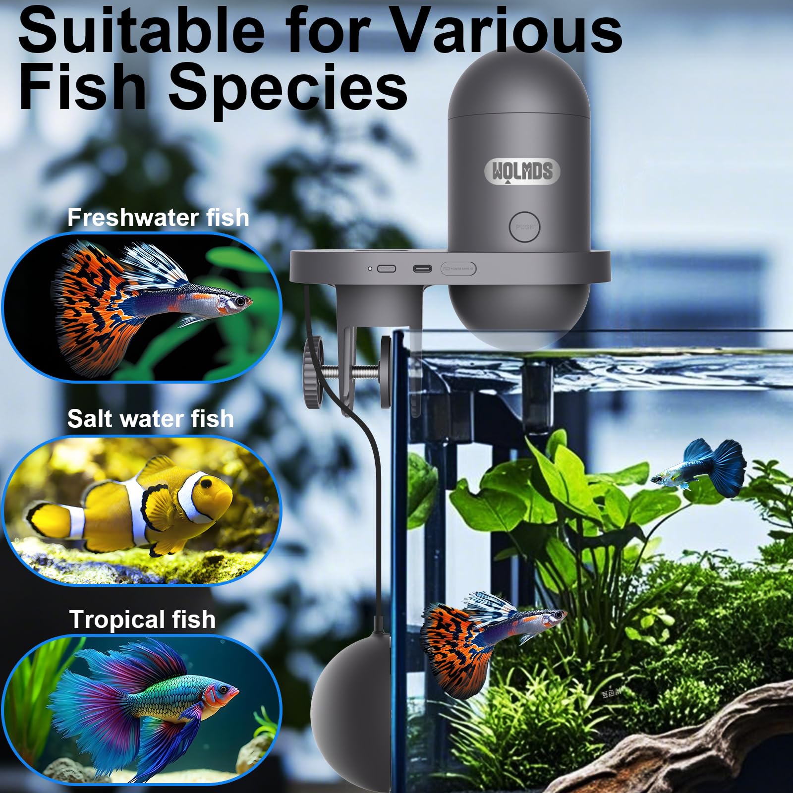 Alimentador Automático de Peces - Dispensador de Comida para Peces WOLMDS con Cámara 2.5K y Control WiFi/App|Capacidad de 230ML,Comedero a Prueba de Humedad Ideal para Vacaciones y Acuarios