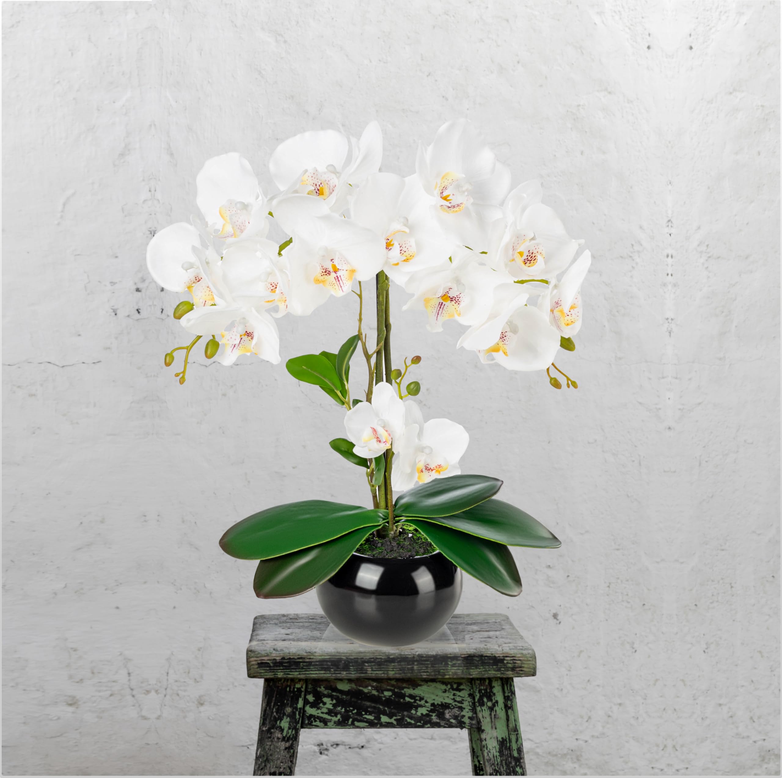 PASCH® Lot de 2 Orchidées Artificielles en Pot dans des Pots en Céramique Brillante (40 cm)