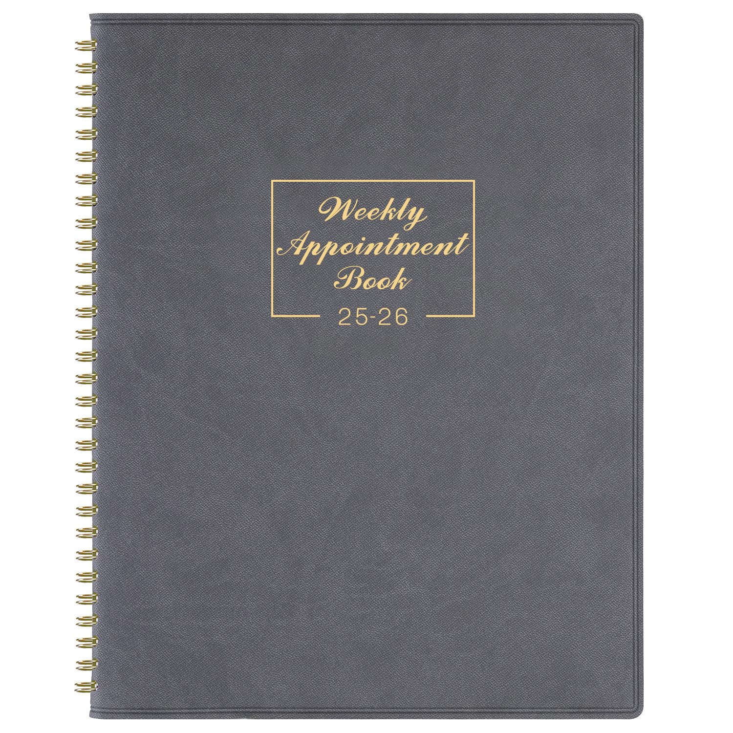 Appointment Book 2025 - January 2025 to December 2025 with Times, Appointment Diary 2025 A4 Week to View Hourly Planner in 15 Minutes, 21.8 x 29 cm, Soft Leather Cover