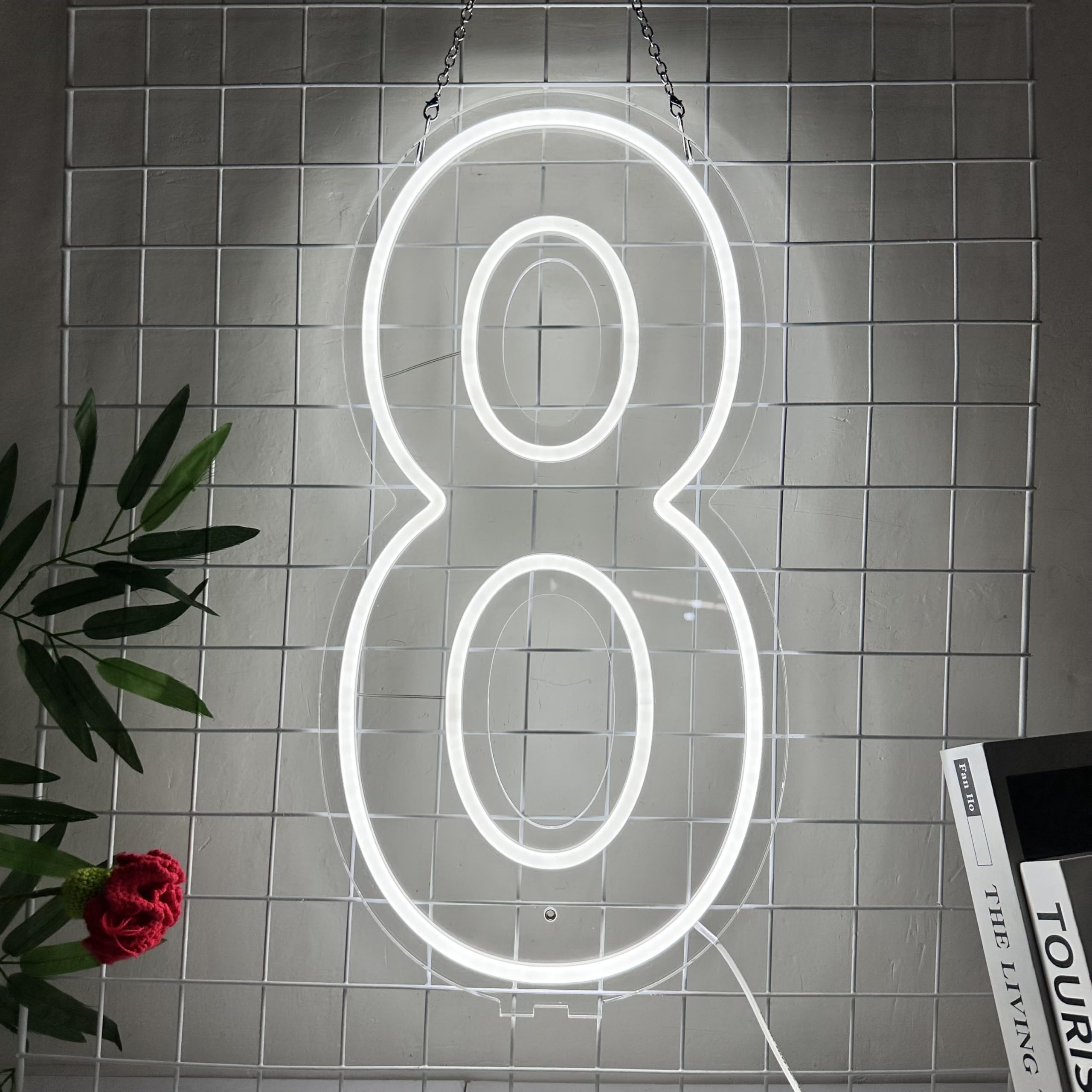 Targa LED al neon con numero 8, 50,8 cm, dimmerabile, luci bianche per feste di compleanno, montaggio a parete, alimentazione USB, 50,8 cm, numero 8