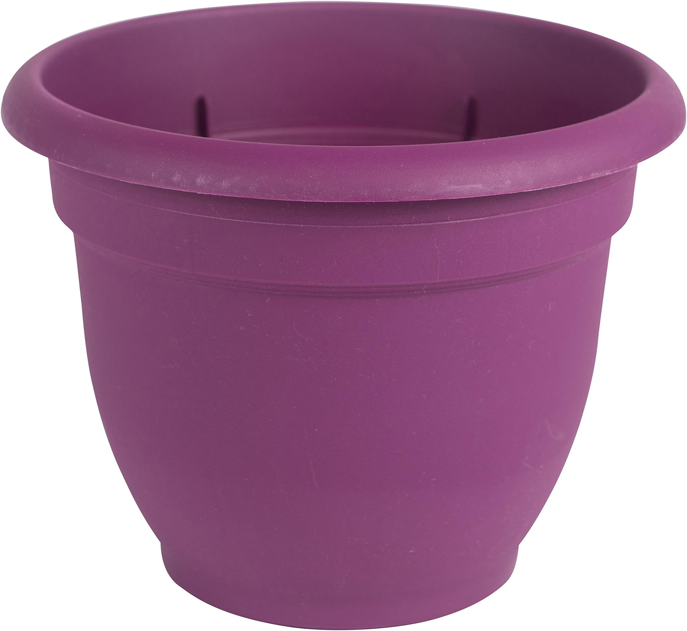 Bloem AP0629 Ariana Self Watering Planter, 6", Passion Fruit