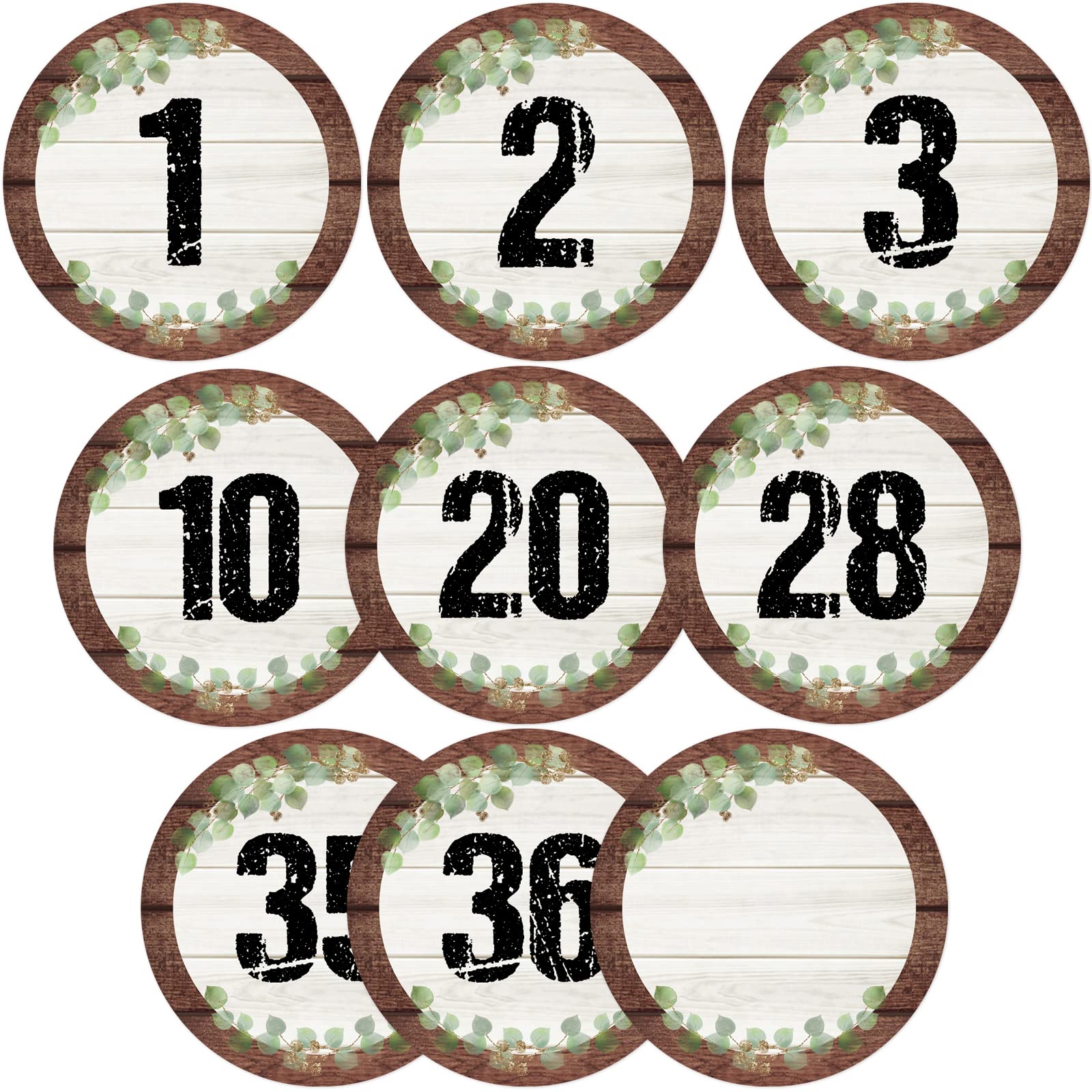 40 Pcs Eucalyptus Numbers Cutouts Classroom Decorations Laminated Circle Cut Outs Greenery Bulletin Board Decorations for Toddle Kids 3 inches