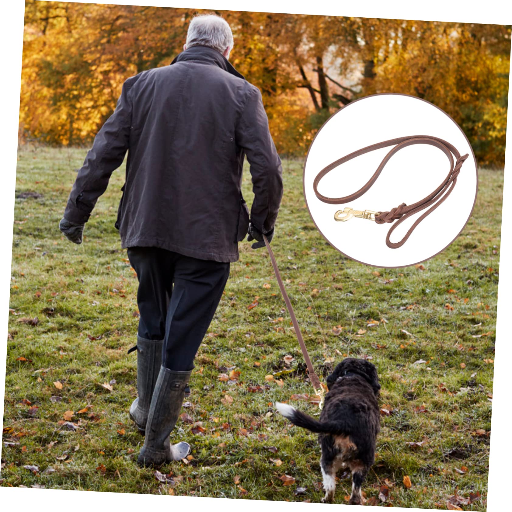 BESPORTBLE 3piezas Correa para Perros Resistentes Cuerda Antitirones para Mascotas De Longitud Gancho para Perros Medianos y Accesorio De Entrenamiento para Paseos Al Aire