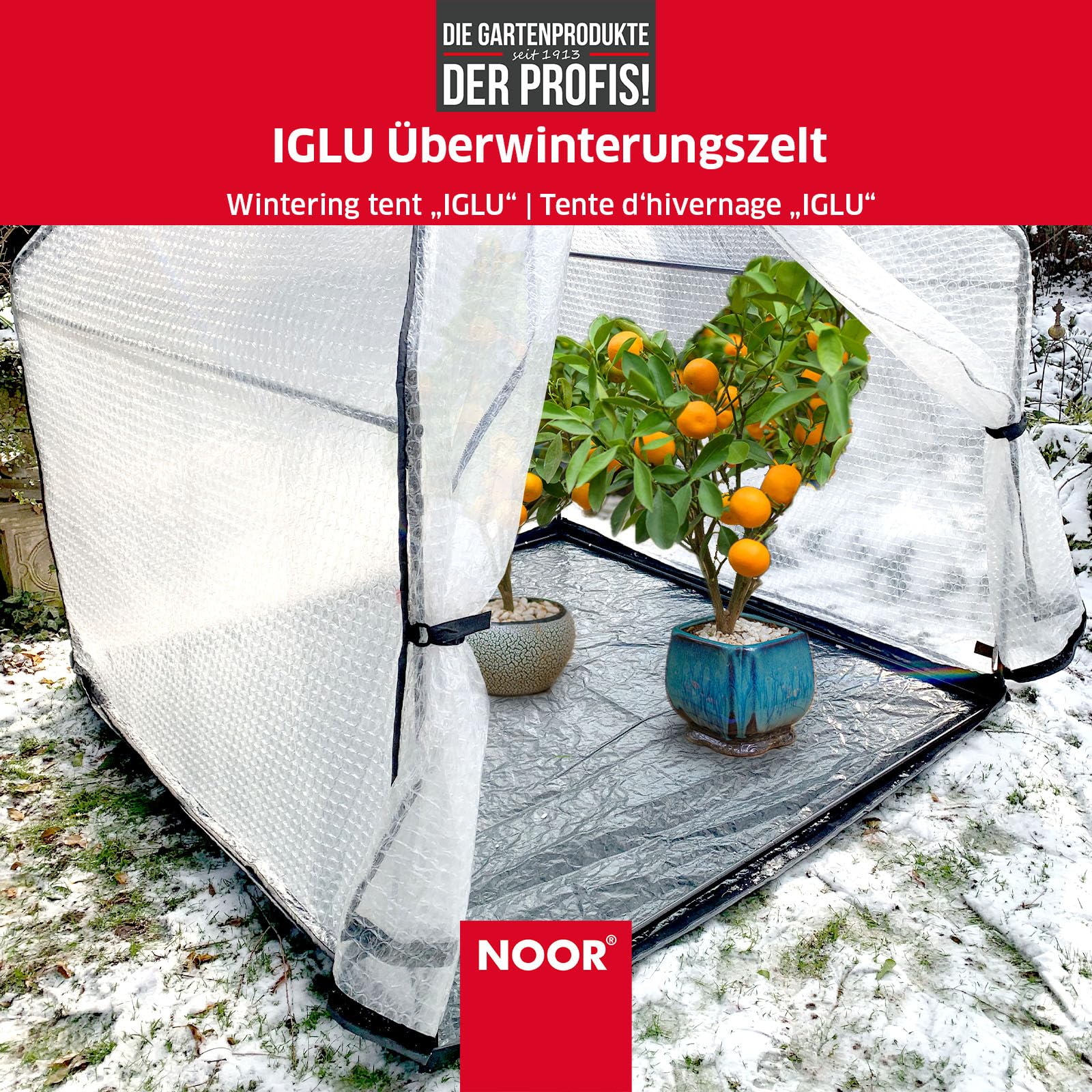 NOOR Überwinterungszelt IGLU - Foliengewächshaus Größe XL 180x180x220 cm | frostsicheres Winterschutzzelt für Palmen, Kübel- & Balkonpflanzen - UV-beständige 3-lagige Luftpolsterfolie mit 28 mm Noppen