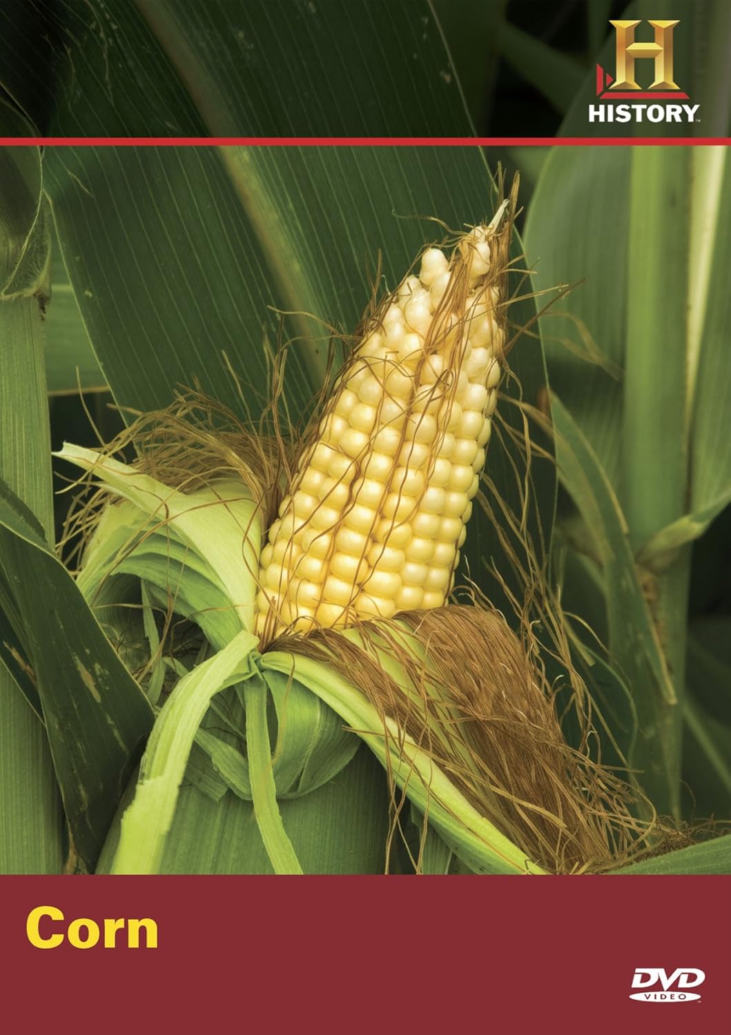 Modern Marvels Corn Artist Not Provided, History Movies & TV