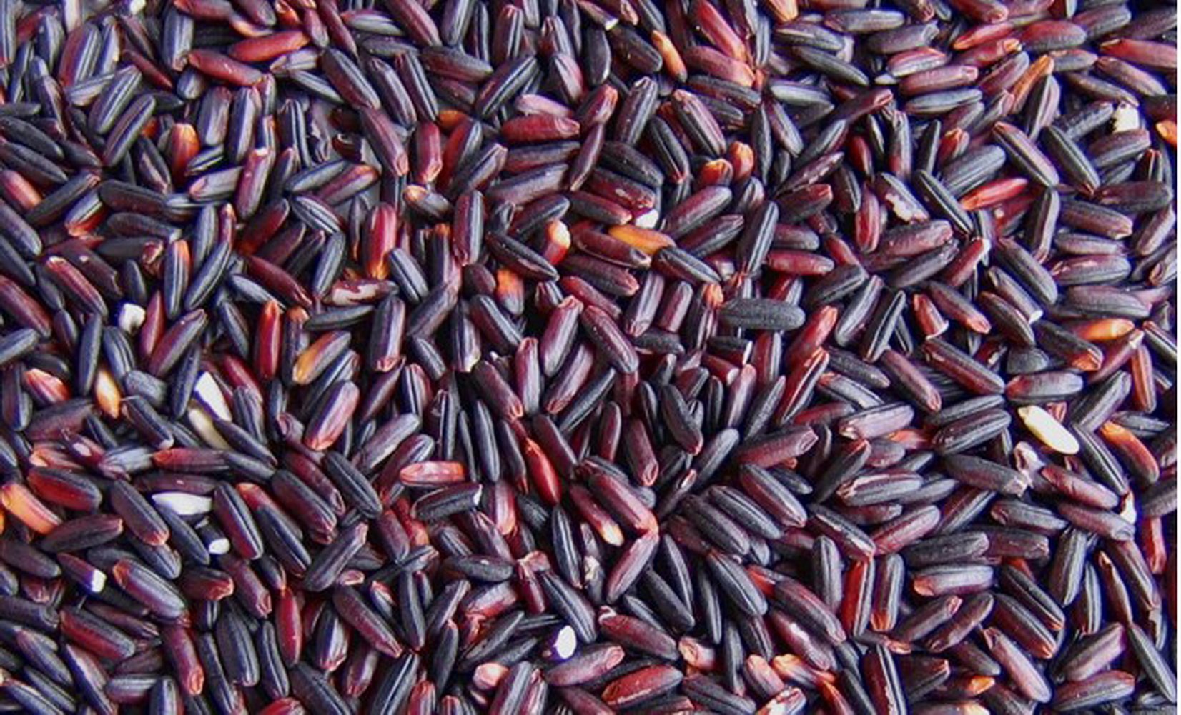 Natural Organic Rice Berry 1 Kg.
