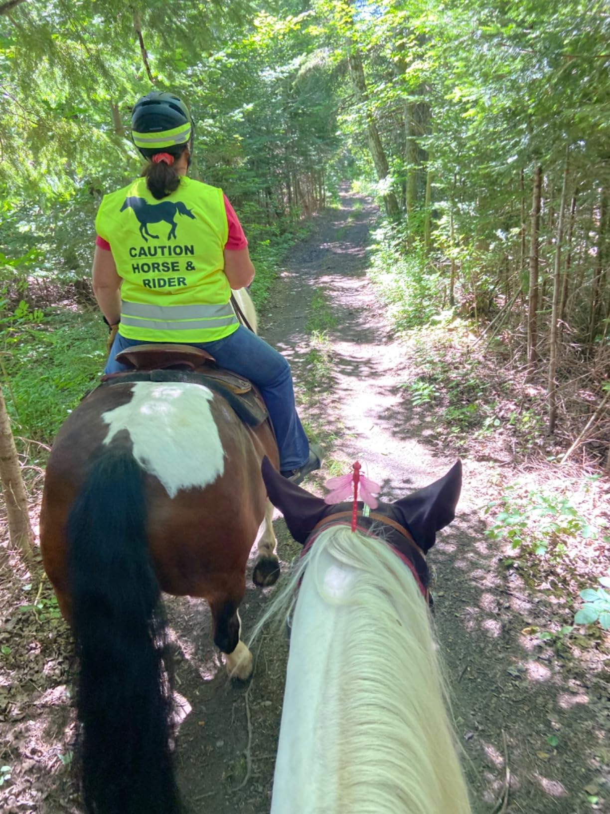 Dragonfly Wingman ClipOn Natural & Organic Concept Deer and Horse Fly