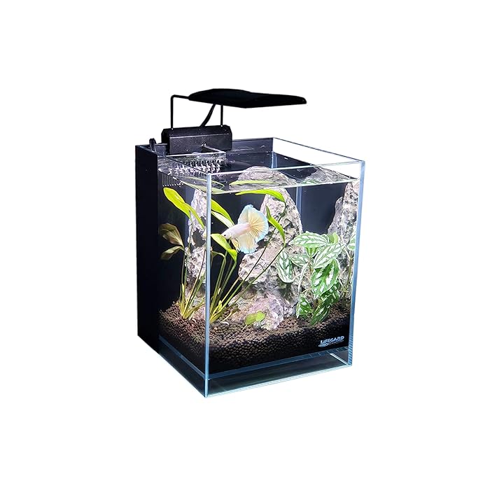 Buy Lifegard Low Iron Ultra Clear Crystal Aquarium with Built in Filter