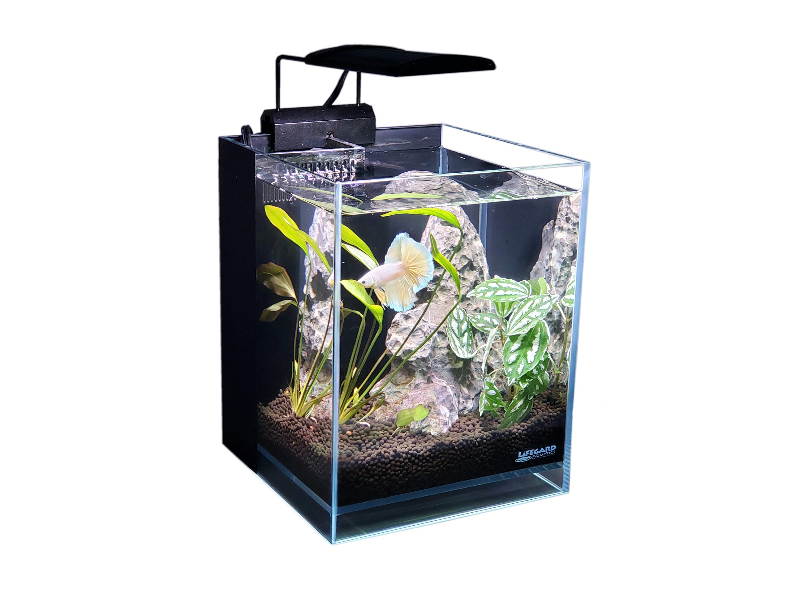 Buy Lifegard Low Iron Ultra Clear Crystal Aquarium with Built in Filter