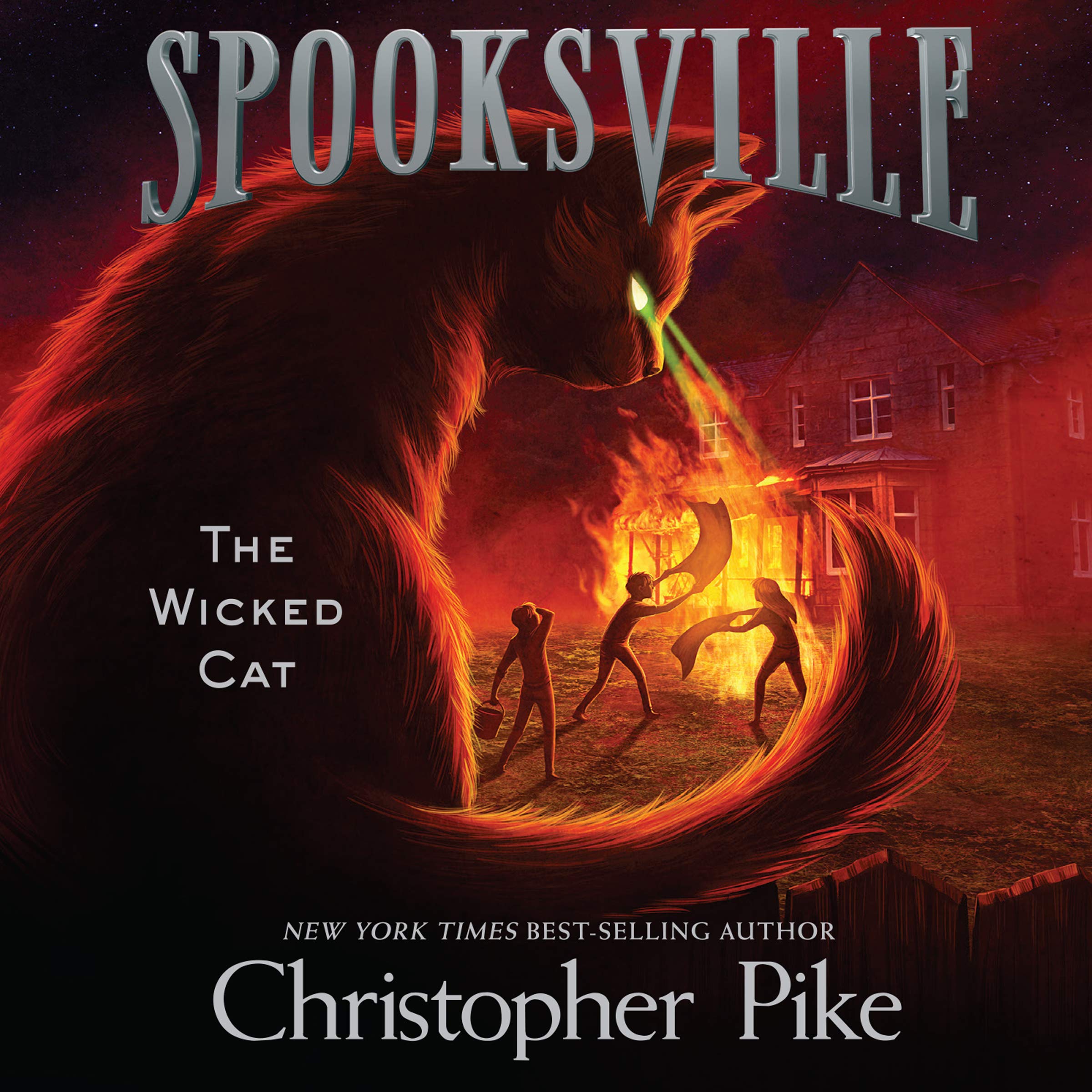 Cover art for The Wicked Cat