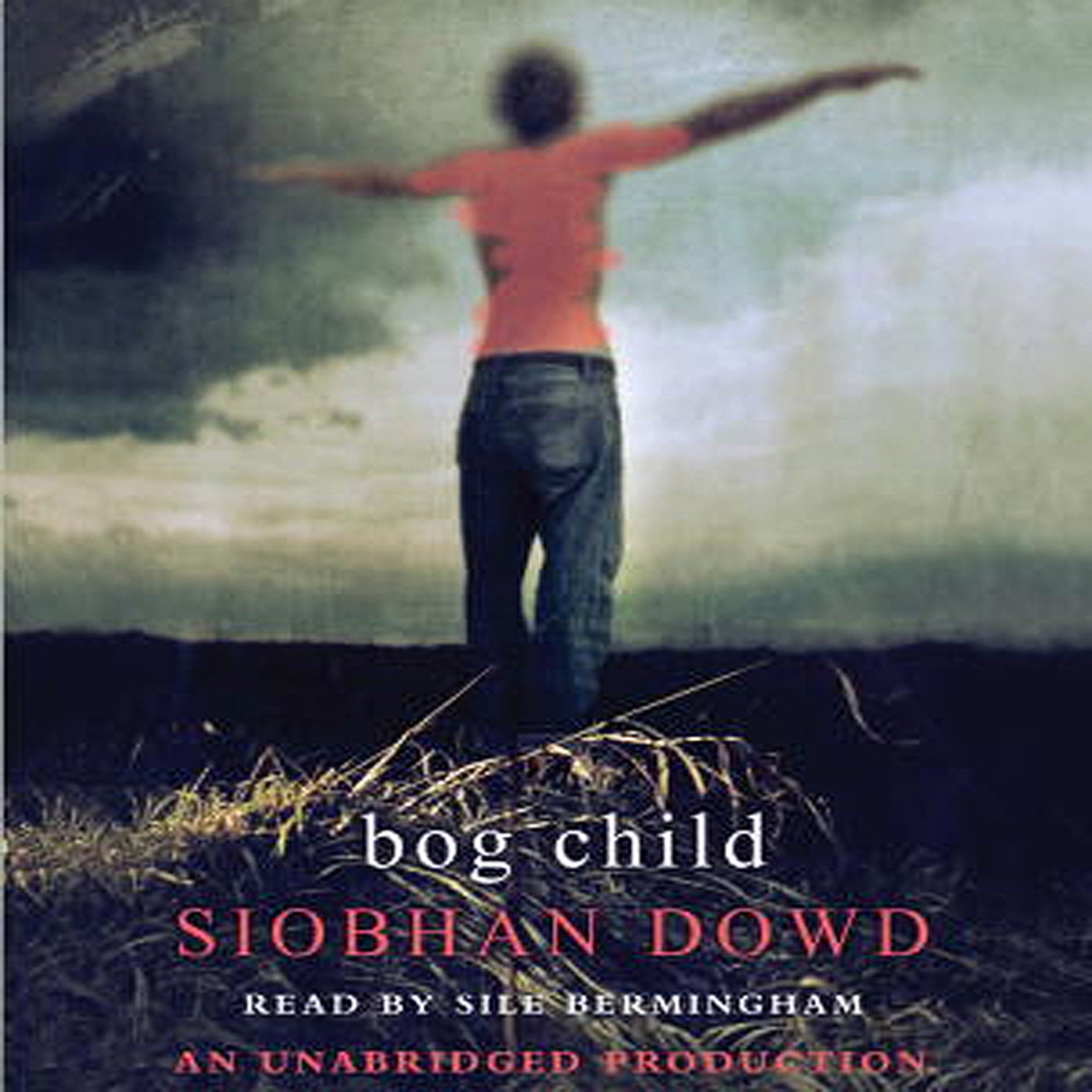 Cover art for Bog Child
