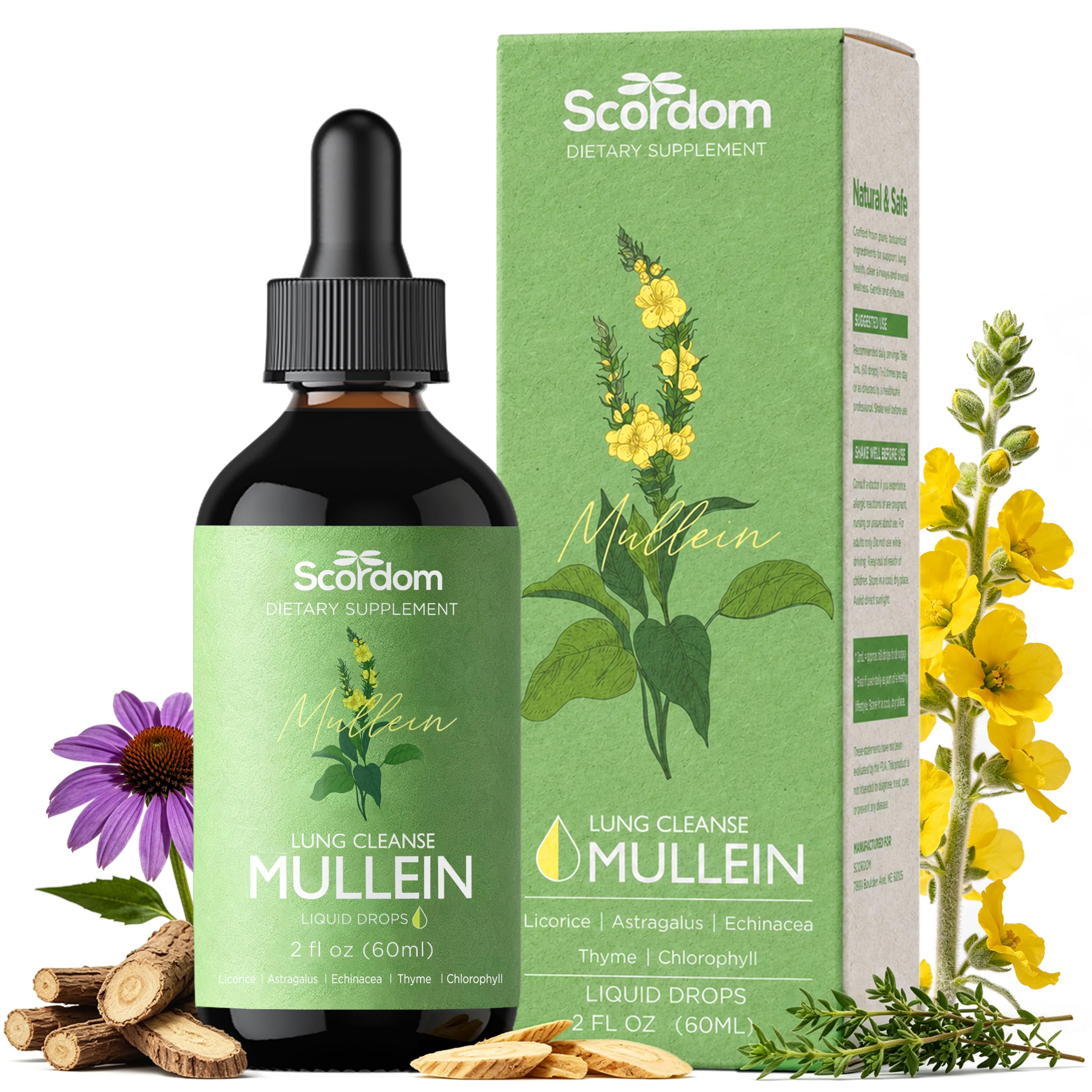 Mullein Drops for Lungs Cleanse & Detox, 6 in 1 - Mullein Leaf Tincture with Licorice, Astragalus, Echinacea, Thyme, Chlorophyll, Supports Respiratory Health, 2 fl oz | 60 ml - 1 Month Supply