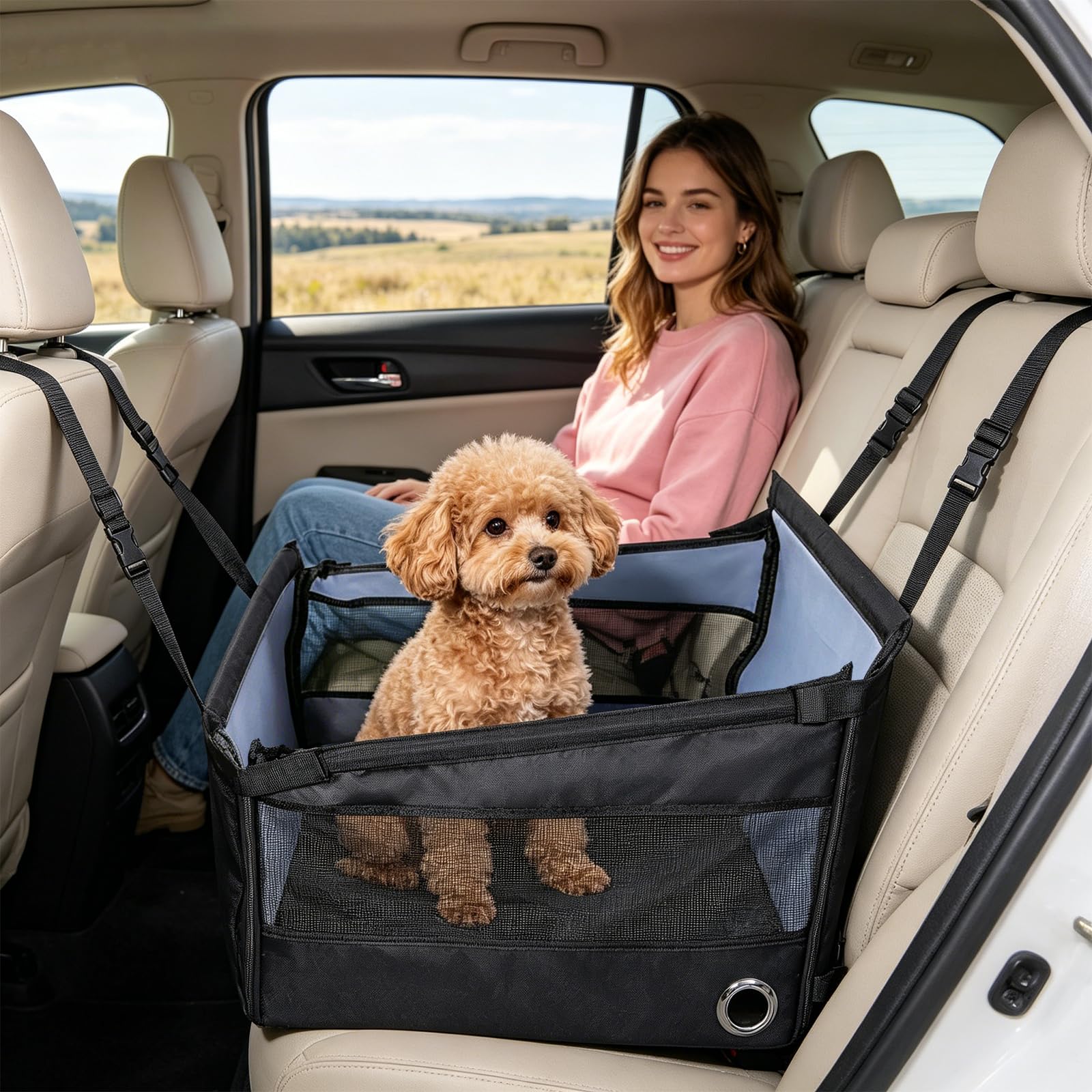 Dog Car Seat for Medium & Small Dogs, Waterproof Foldable Pet Carrier with Base Plate, Safety Tether, Non-Slip Mat & Rear Seat Liner, 3 Mesh Windows for Ventilation, Fits Cars SUV & Camping, Black