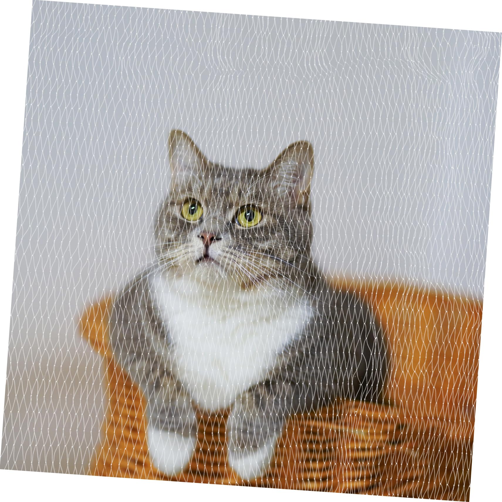 BESPORTBLE Rete Anticaduta per Gatti E Cani per Balcone per Appartamento Facile da Installare Bianca
