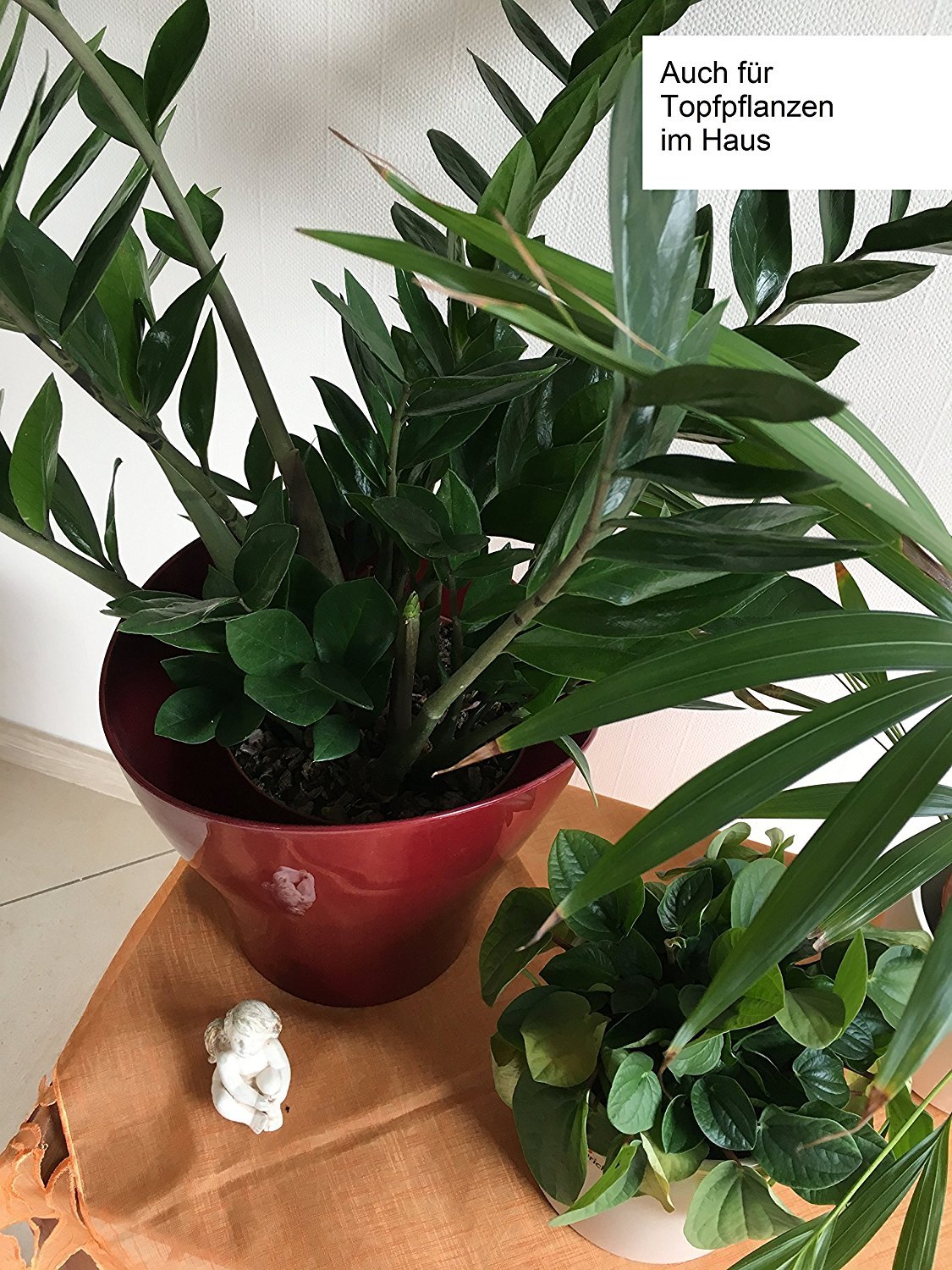 Edelmond Bio Kakaoschalen Mulch ✓ Für Haus und Garten ✓ Ohne Pestizide auch für Innenräume geeignet ✓ Dekoration und Bio Alternative zu Rindenmulch ✓ Lose fallend, Keine Pressware (20 kg)