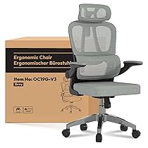 FLEXISPOT Sedia da ufficio ergonomica, con poggiatesta 2D, braccioli pieghevoli e supporto lombare dinamico, per casa e ufficio, OC3 LITE (Grigio)