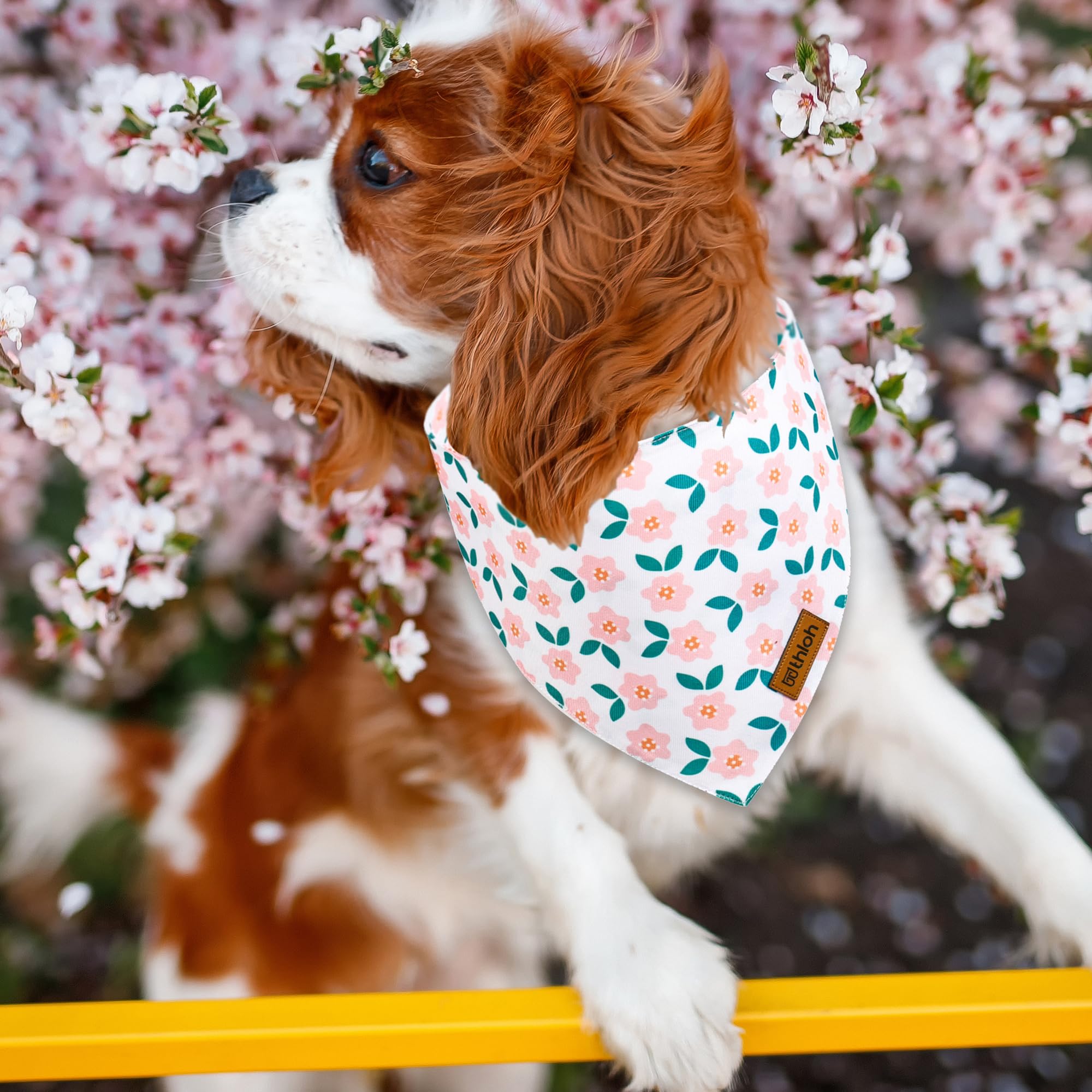 Spring Hundehalstücher mit Druckknopf, 2 Stück, Blumen-Hundeschal für Jungen und Mädchen, hochwertiger, strapazierfähiger Stoff, verstellbare Passform, einzigartige Form, Geschenk für Hunde