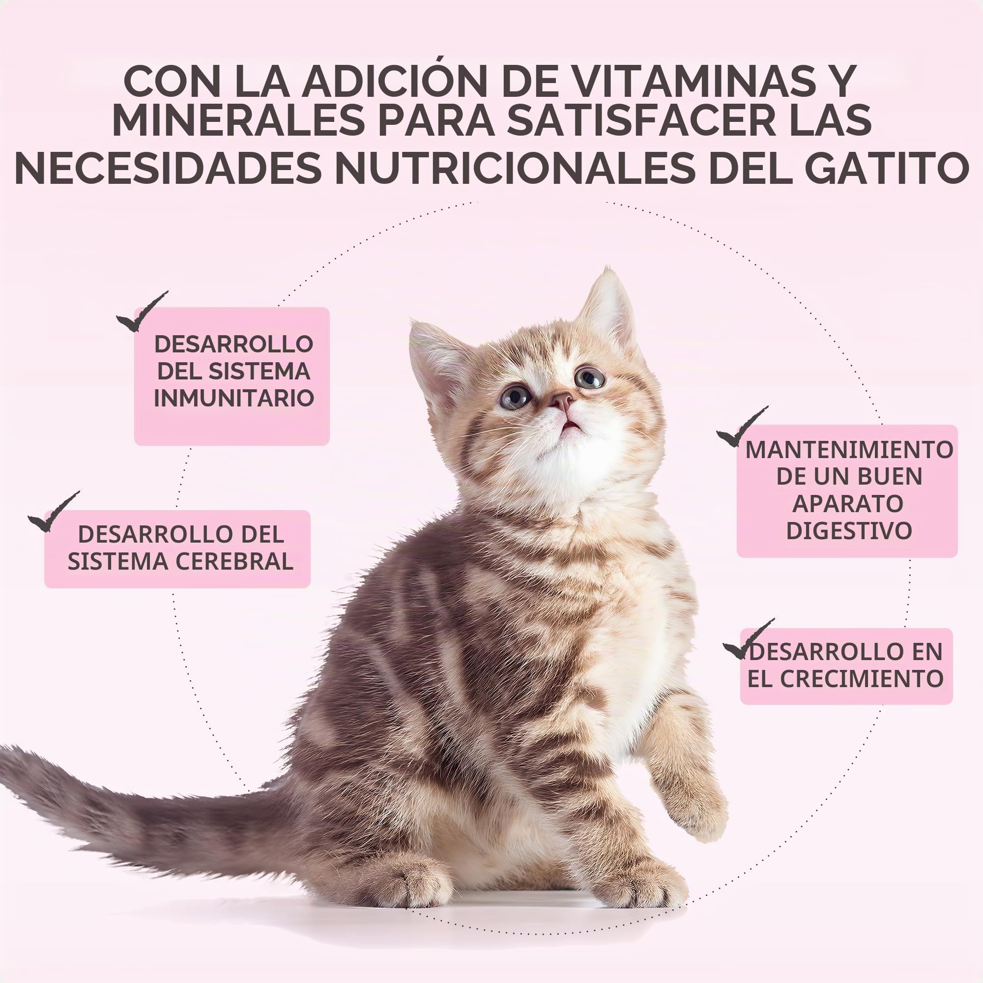 Schesir Baby, Filetes de Pollo con Hígado en Caldo, Alimento Húmedo Completo para Gatitos, Sin Cereales, con DHA y Taurina, Rico en Hidratación, 12 x 70g