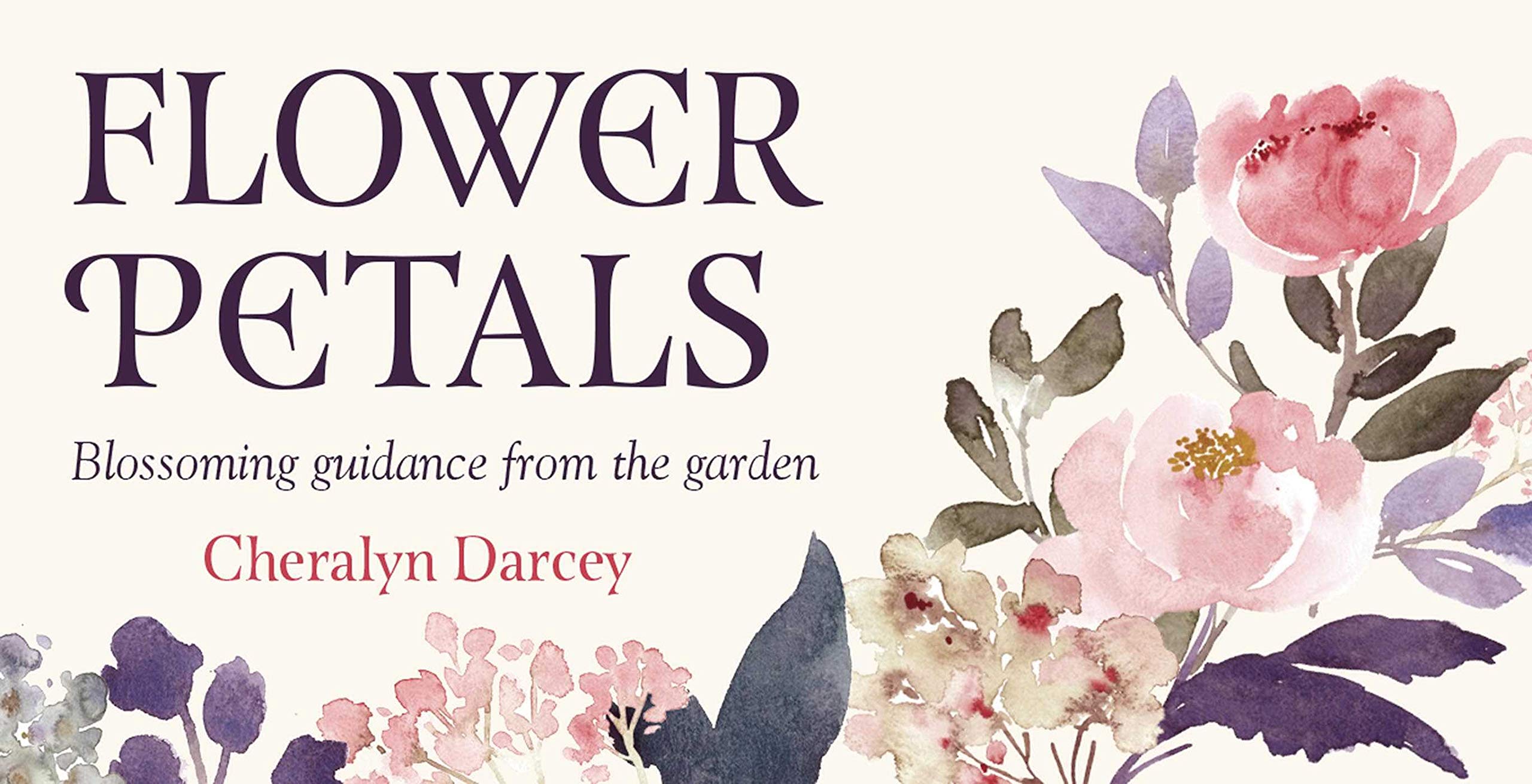 Flower Petals: Blossiming guidance from the garden (Rockpool Mini Cards)