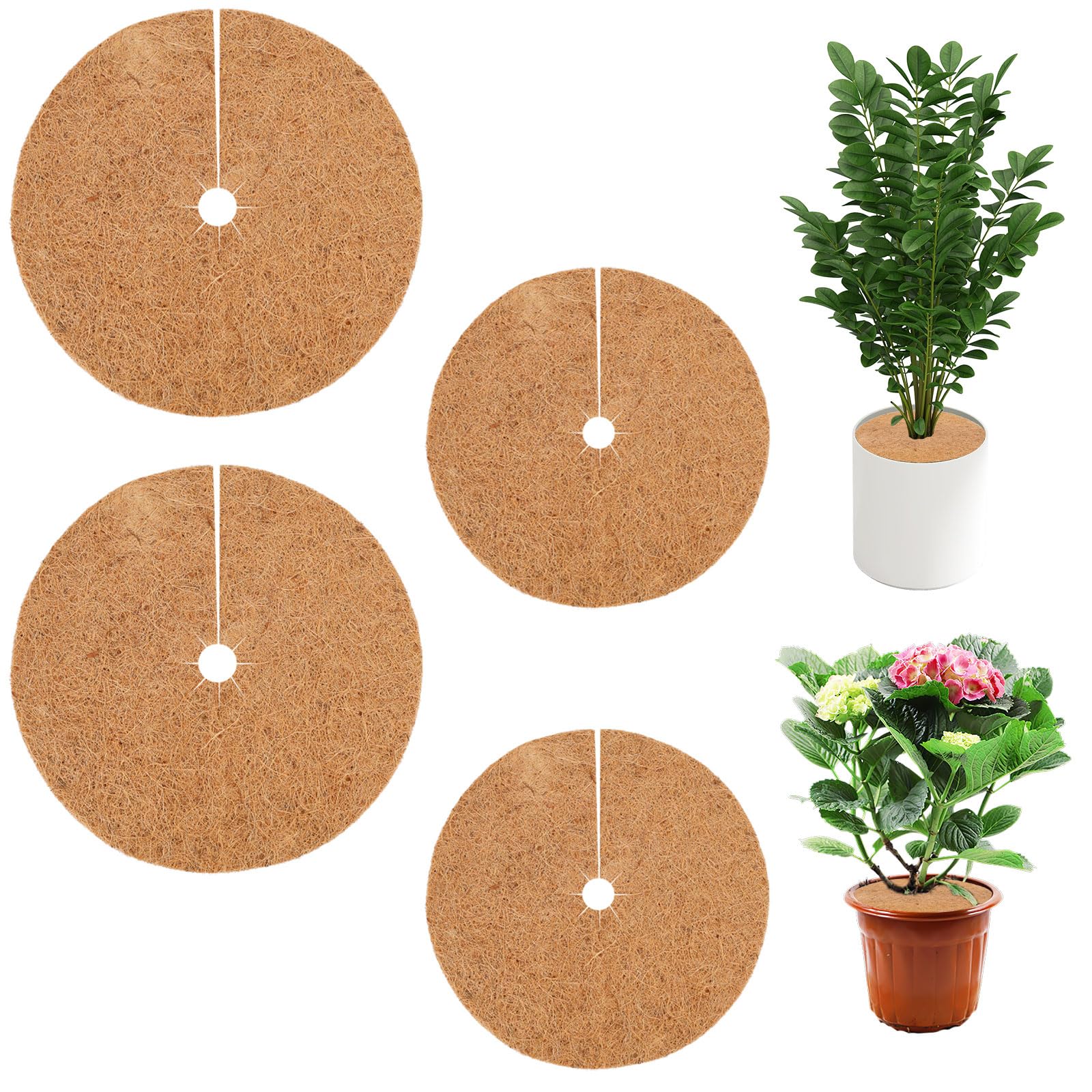 Coconut Mulch Disc, 30 cm / 35 cm, Plant Protection Mat, Environmentally Friendly, Multifunctional Coconut Mulch Disc, Pot Cover, Winter Protection for Potted Plants, Sustainable Protection Against