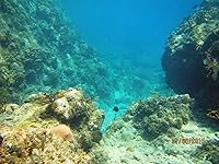 Review Image by 67CougarCar 67CougarCar