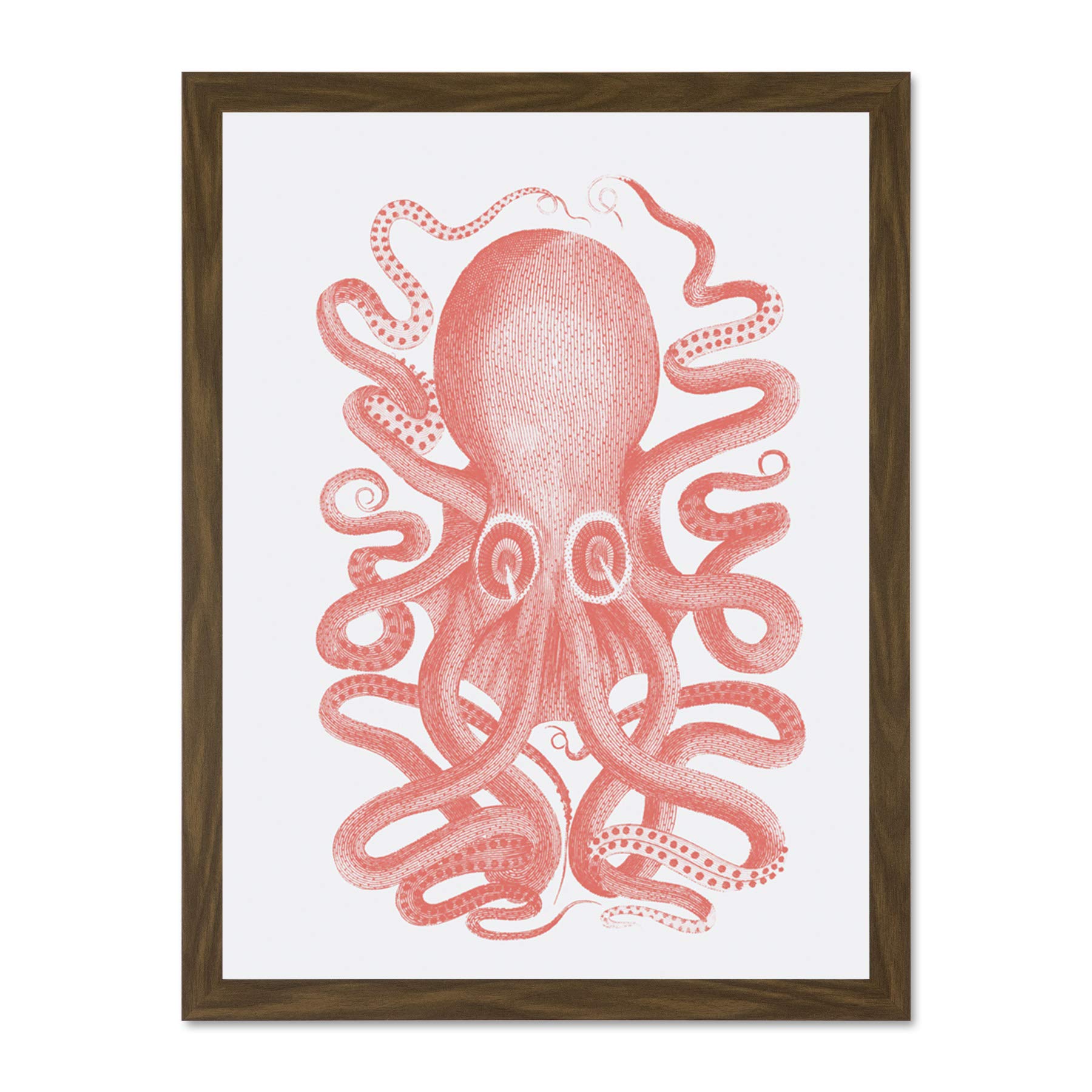 Wee Blue Coo Living Coral Octopus Large Brown Framed Art Print Wall Poster 18x24 inch