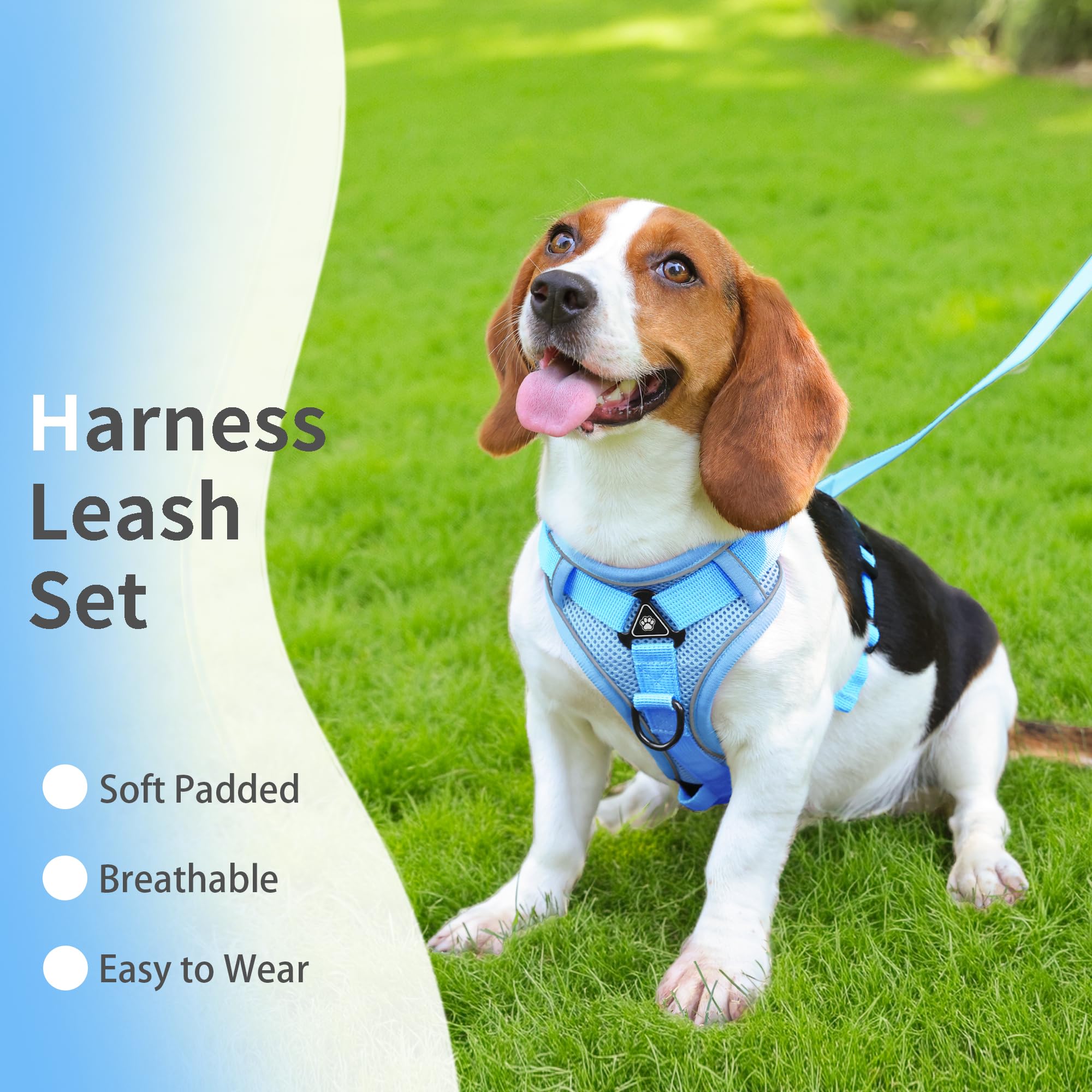 Hundegeschirr mit Leine für kleine Hunde, reflektierend, verstellbar, kein Würgen, mit Frontclip, Katzengeschirr mit atmungsaktivem Netzgewebe, bequem, weich gepolstert, Blau, Größe S
