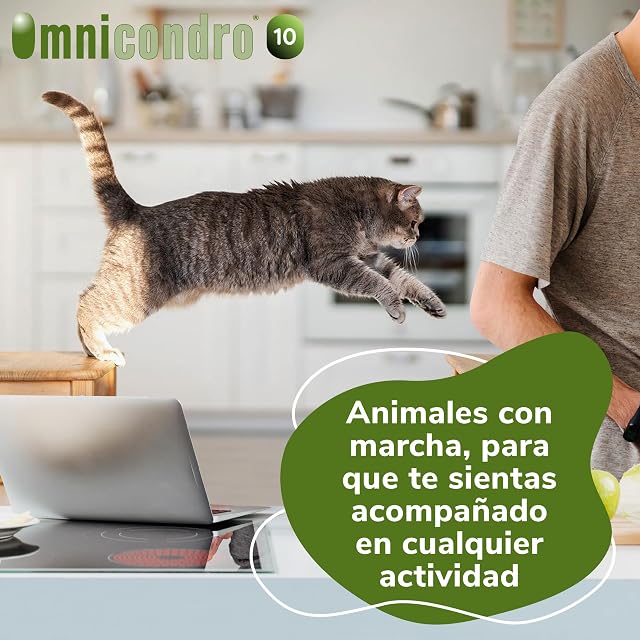 Foto 6 de 6 de Omnicondro 10 Hifarmax - Condroprotector para Perros y Gatos