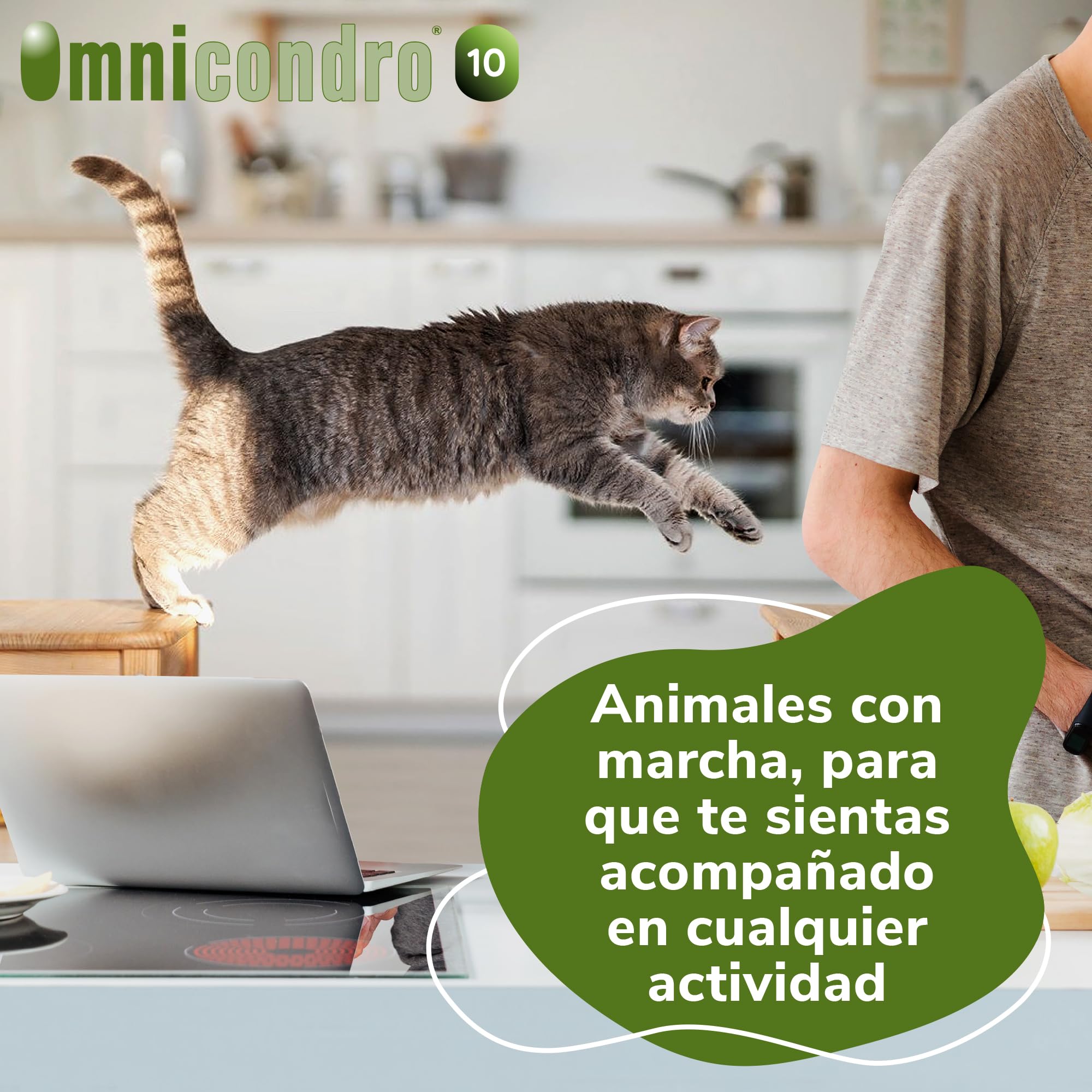 Omnicondro 10 Hifarmax - Condroprotector para Perros y Gatos | Glucosamina y Condroitina para Articulaciones | Vitaminas | Suplementos para Perros Mayores | 60 Comprimidos
